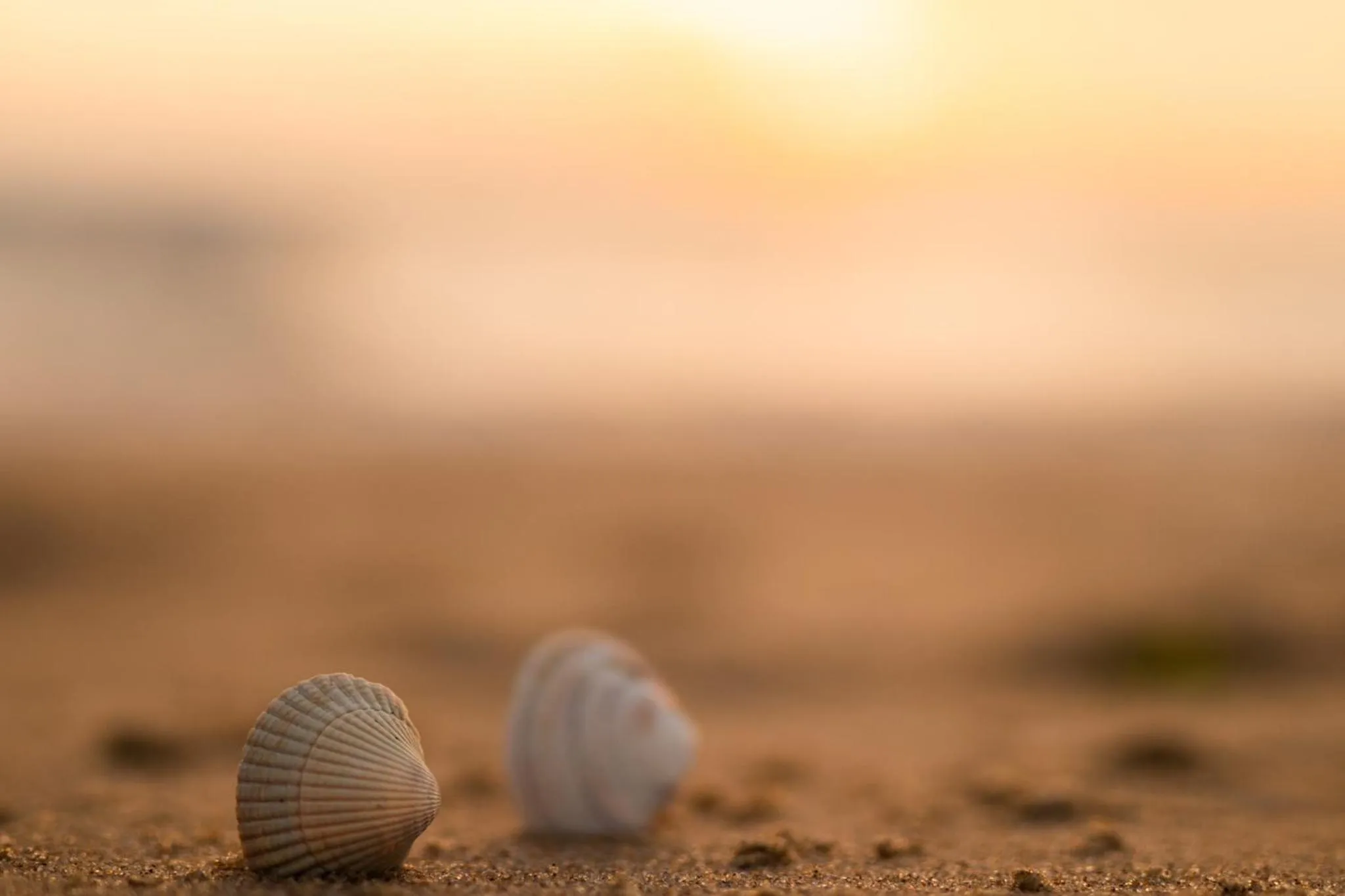 Beach in Grand Hotel Beatrix