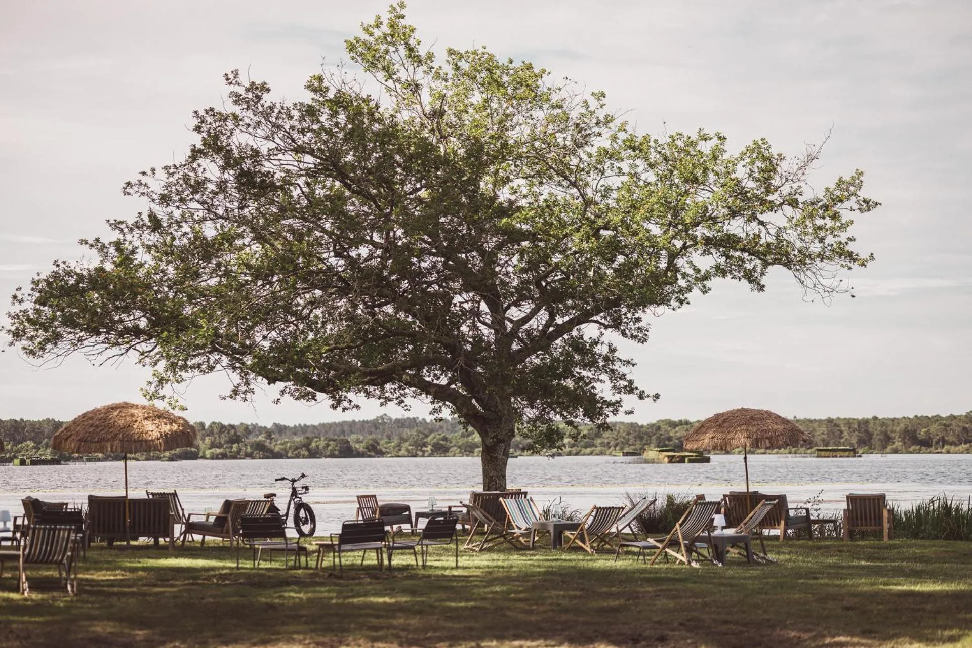 Lounge or bar in Villa de l'Etang Blanc