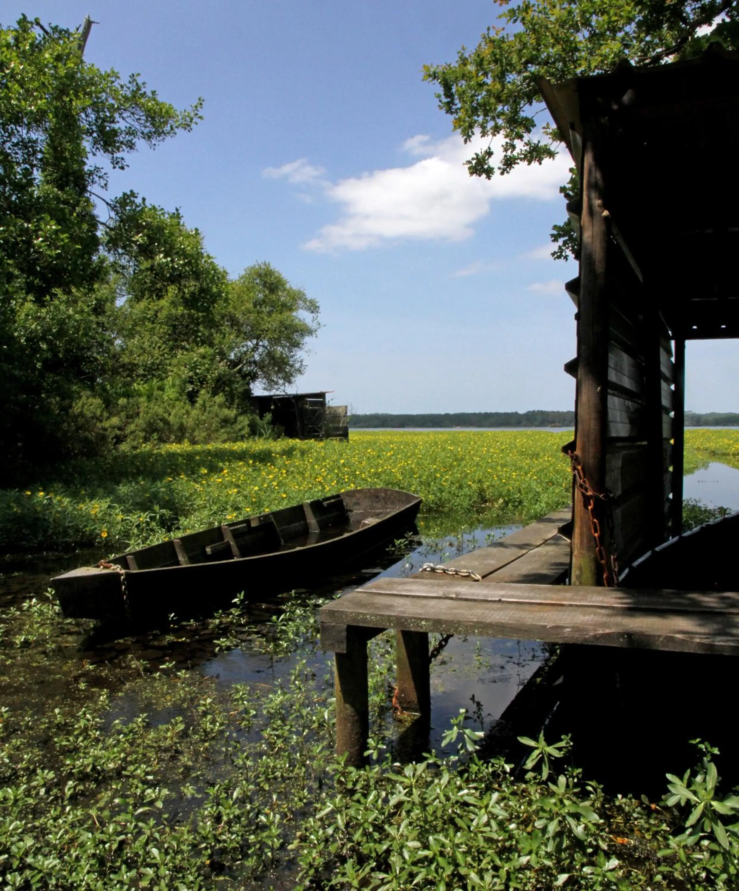 Natural landscape in Villa de l'Etang Blanc