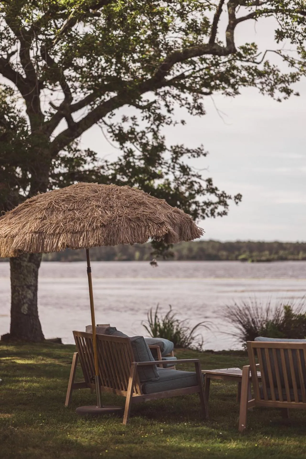 Lounge or bar in Villa de l'Etang Blanc