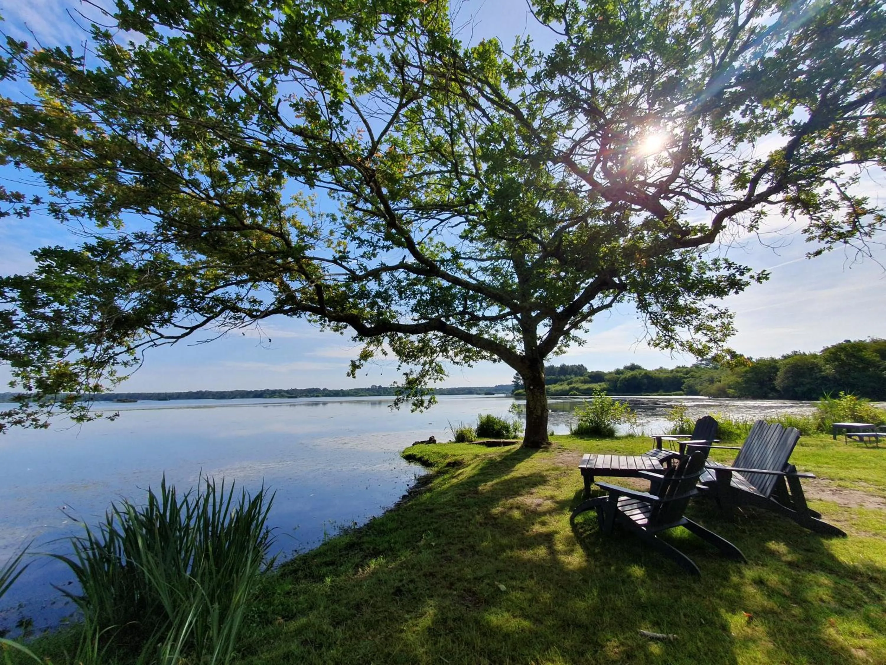 Natural landscape in Villa de l'Etang Blanc