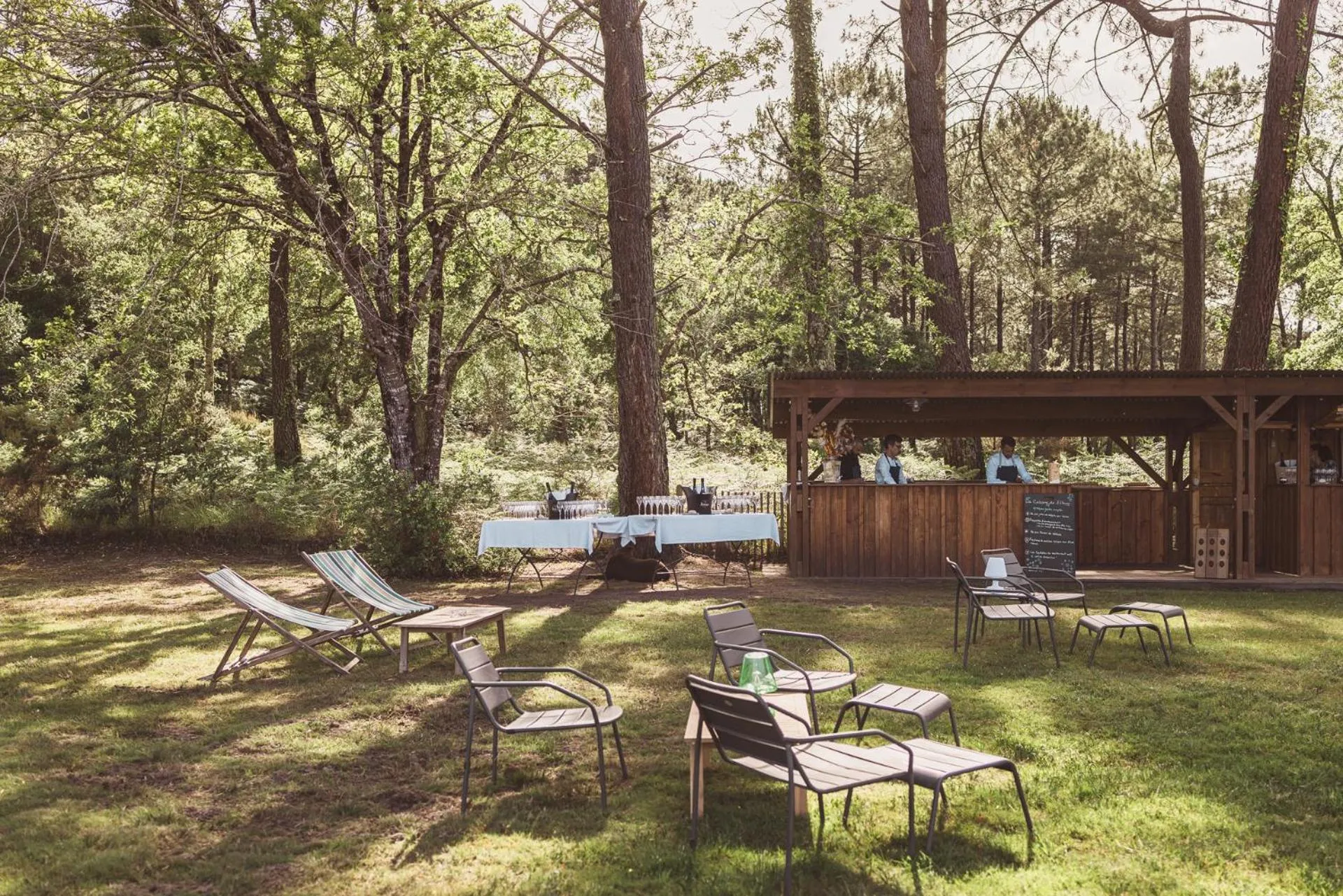 Lounge or bar in Villa de l'Etang Blanc