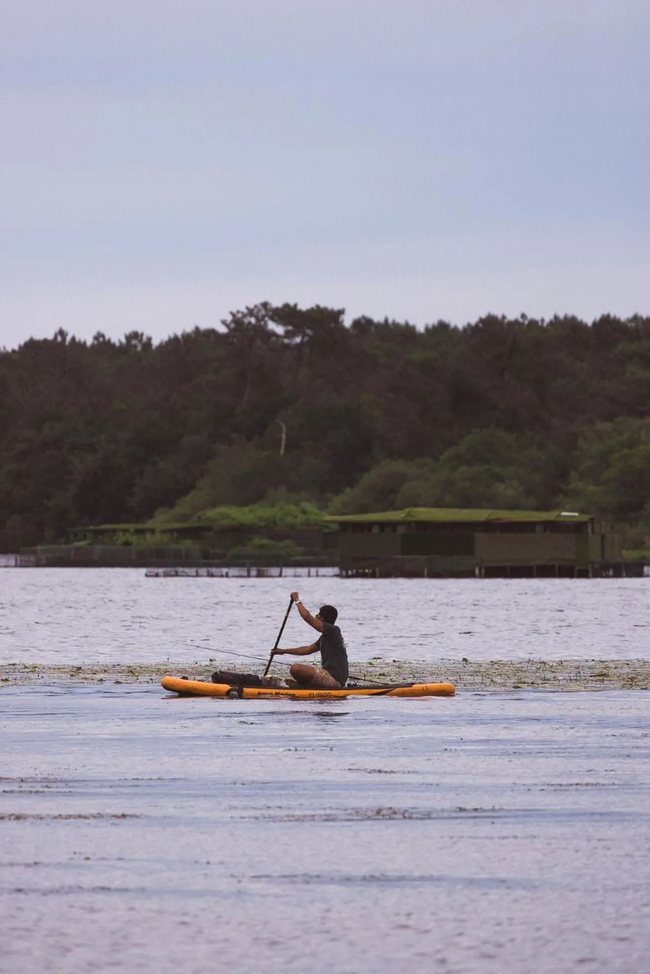 Fishing in Villa de l'Etang Blanc