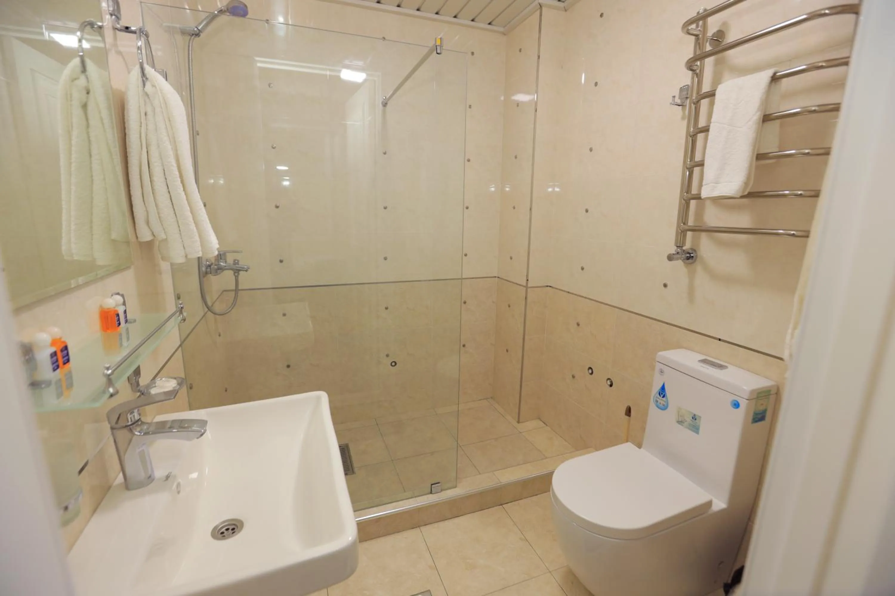 Toilet in AYNIY Hotel