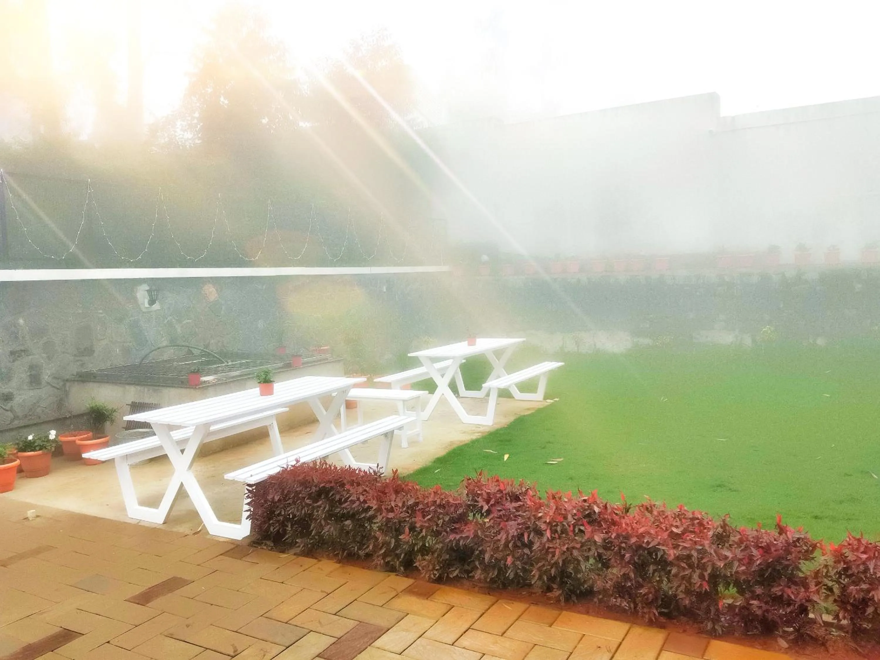 Garden in Hotel NT Grand Yercaud