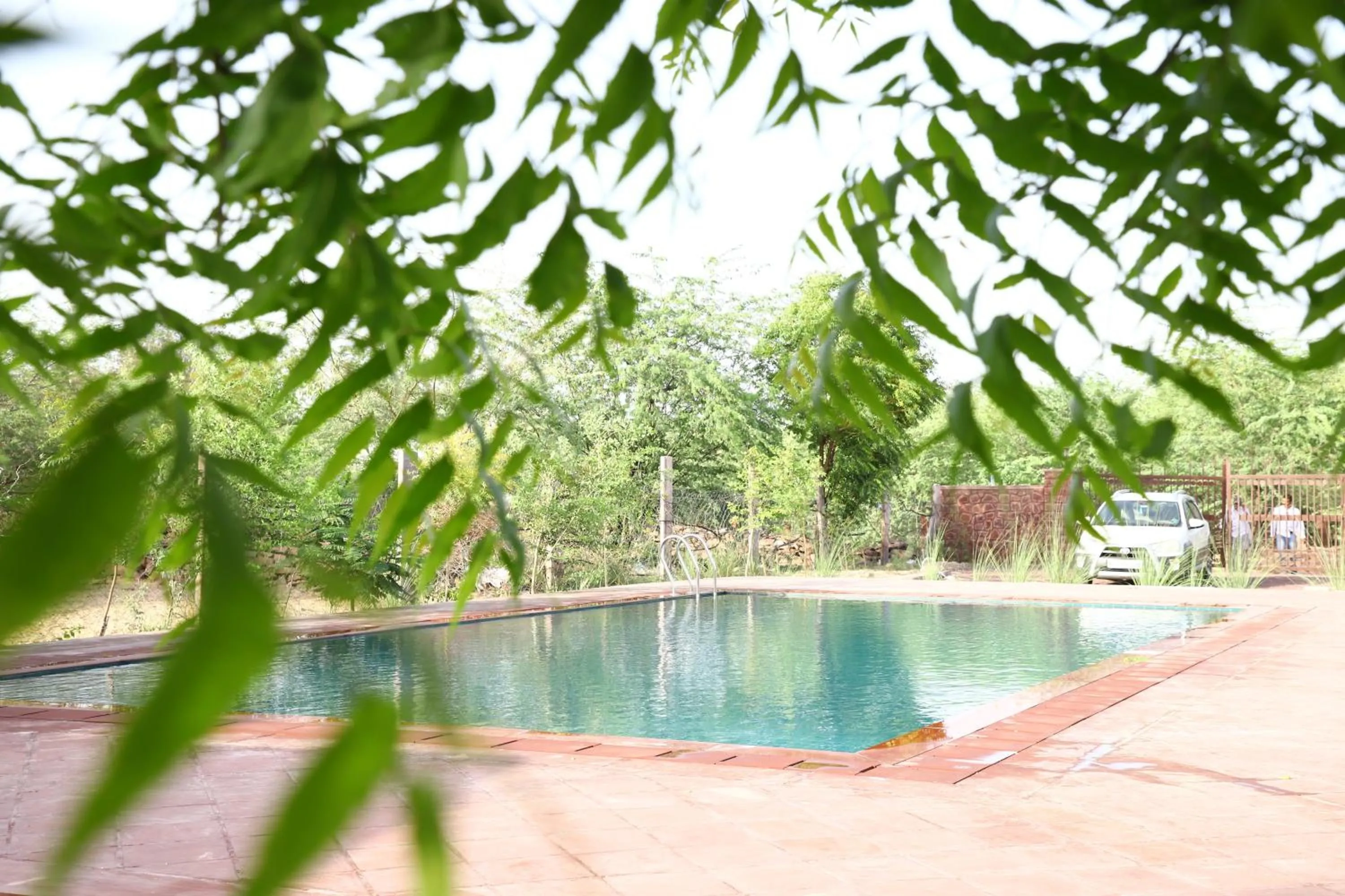 Swimming pool in Impian Resorts - Jodhpur