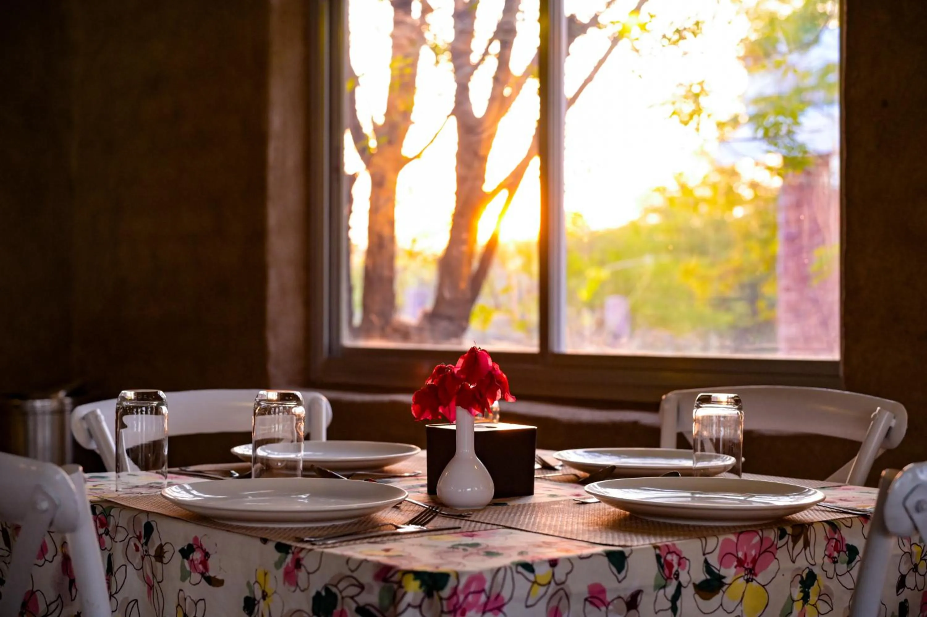 Restaurant/places to eat in Impian Resorts - Jodhpur