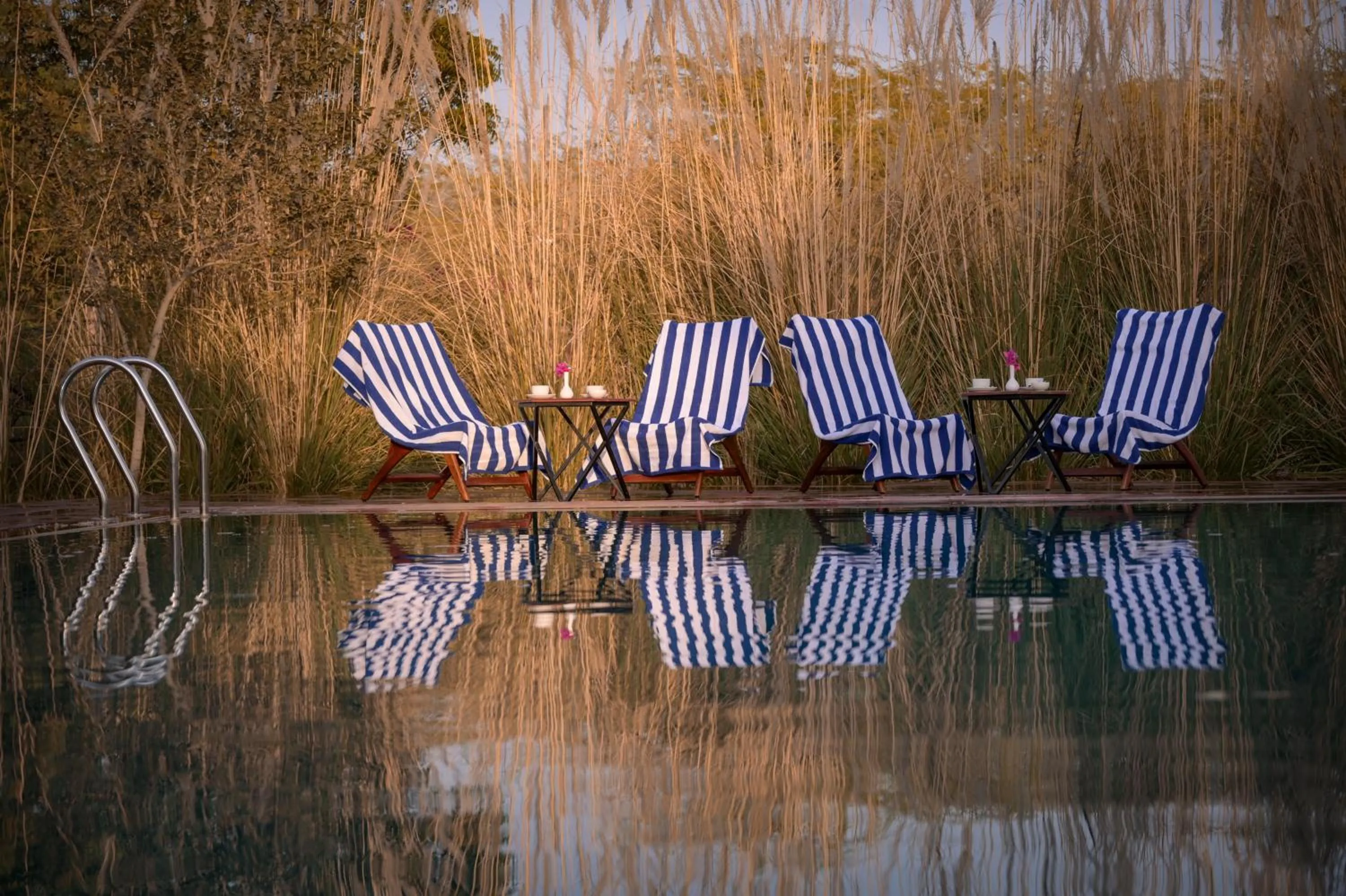 Swimming pool in Impian Resorts - Jodhpur