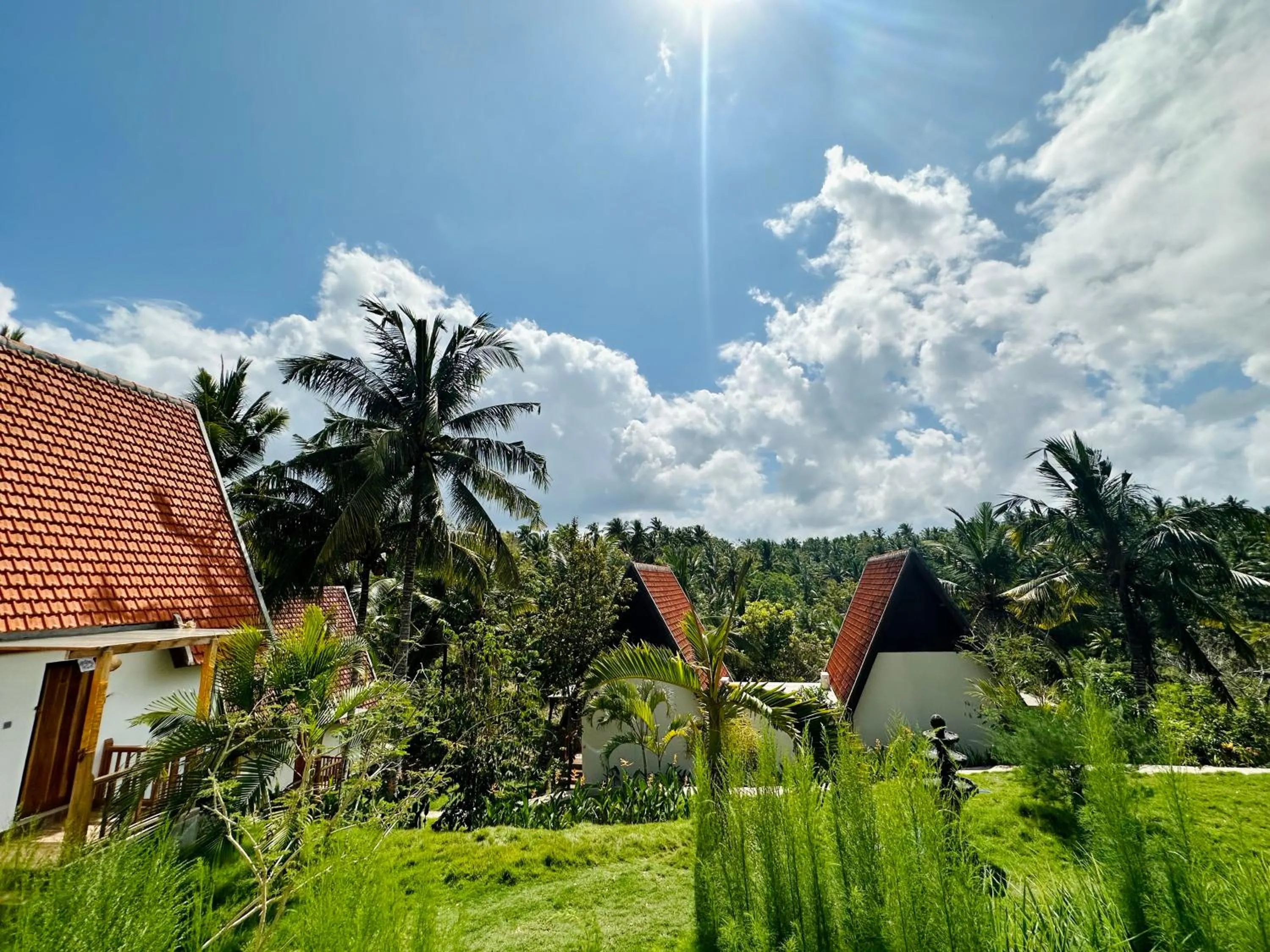 Natural landscape in Green Coco Suite