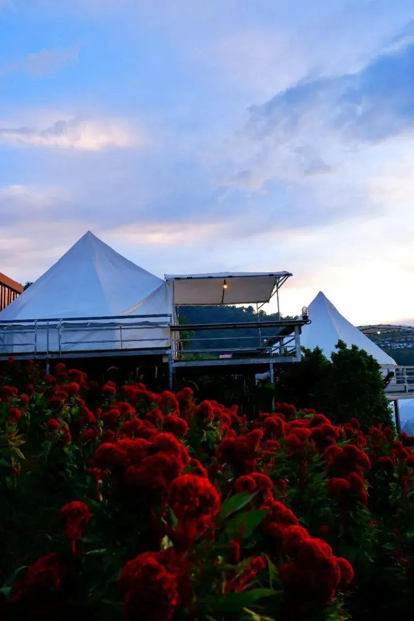 Mon Jam Memory Camp Mon Jam Memory Camp