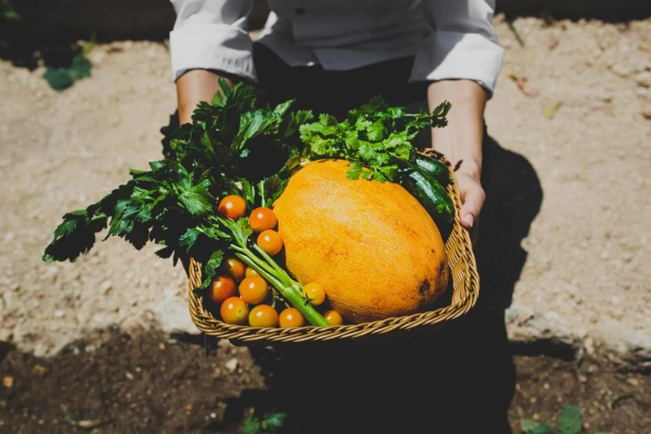 Latchi Escape Hotel and Suites