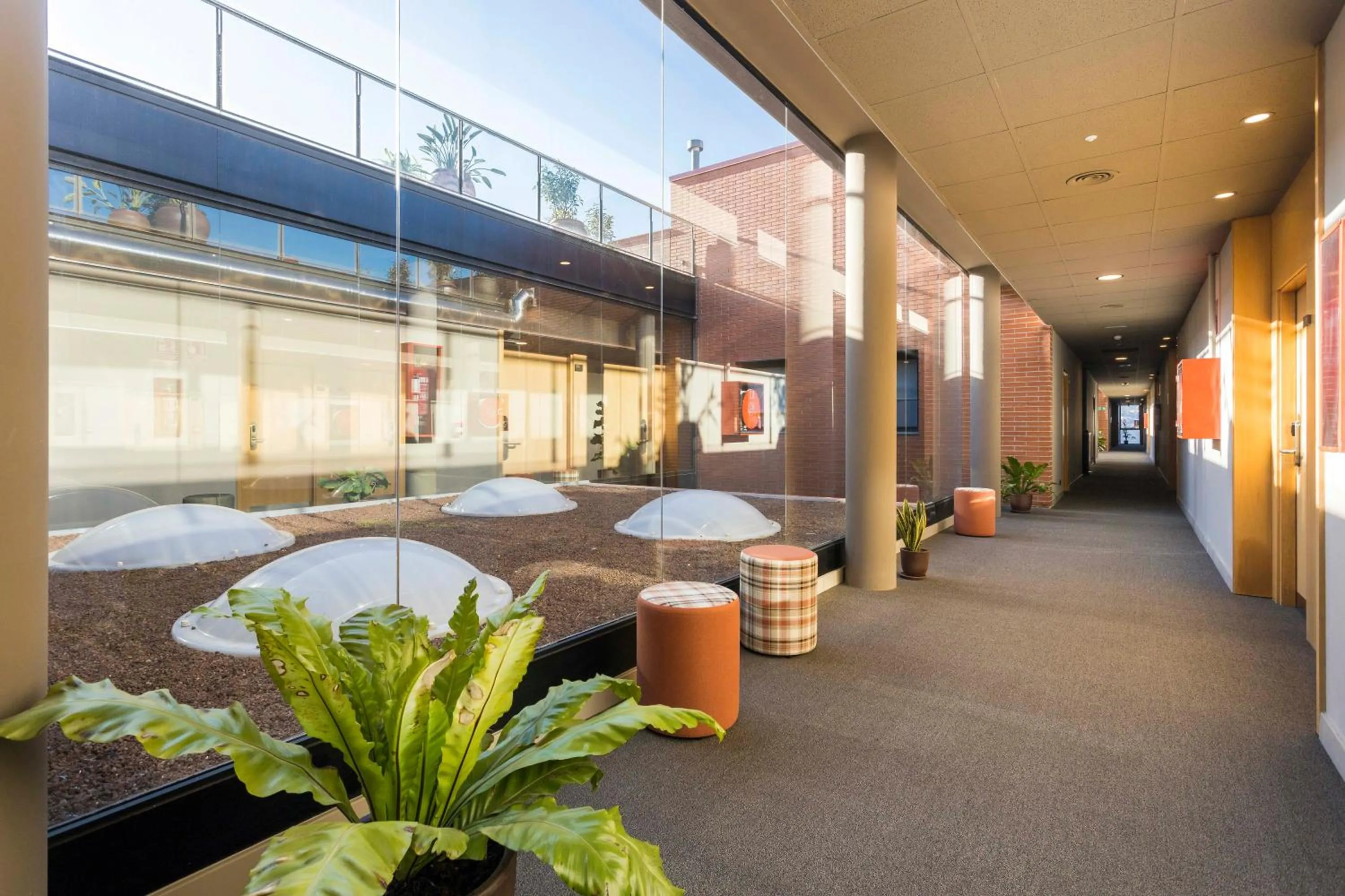 Day in Hotel Terrassa Confort