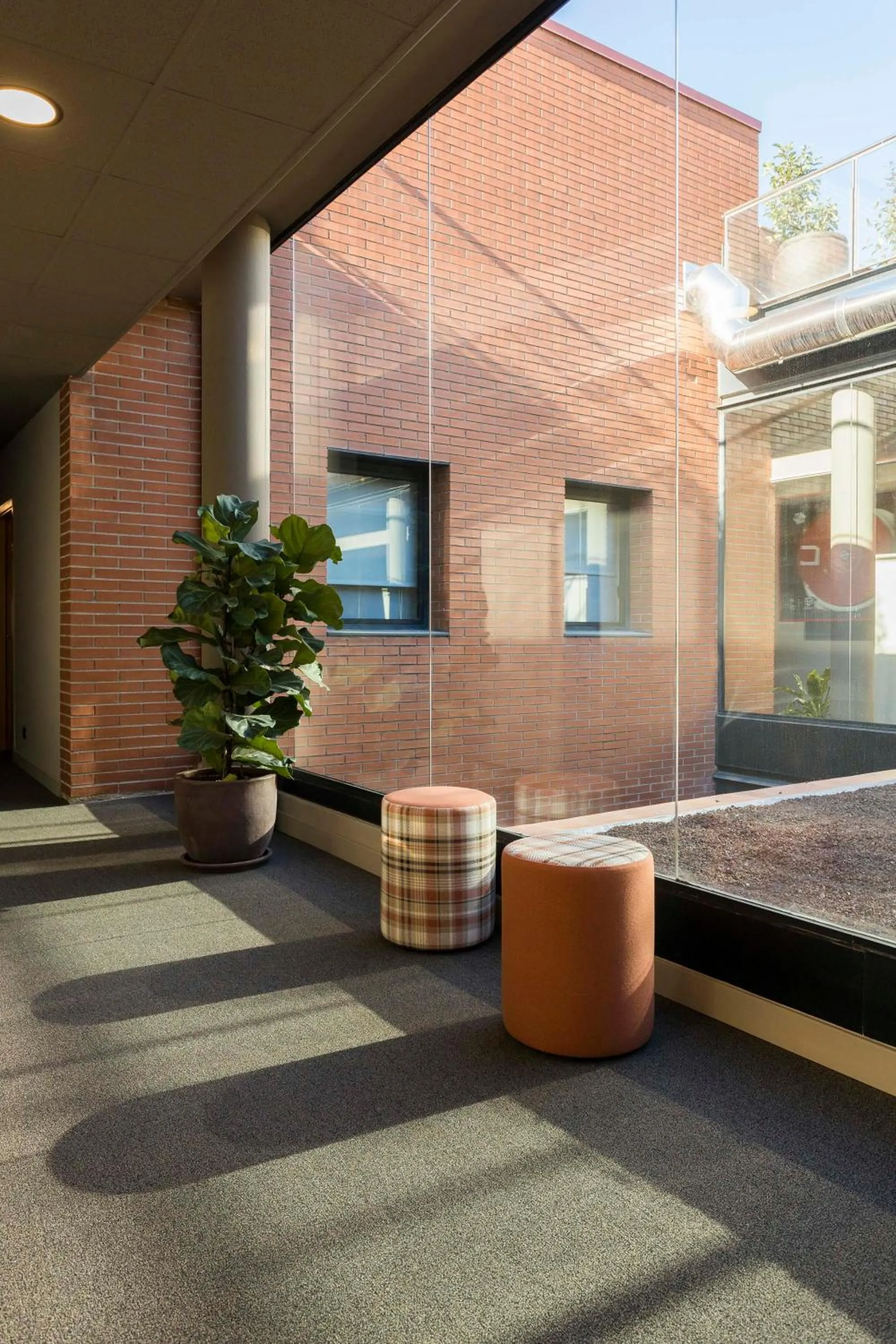 Day in Hotel Terrassa Confort