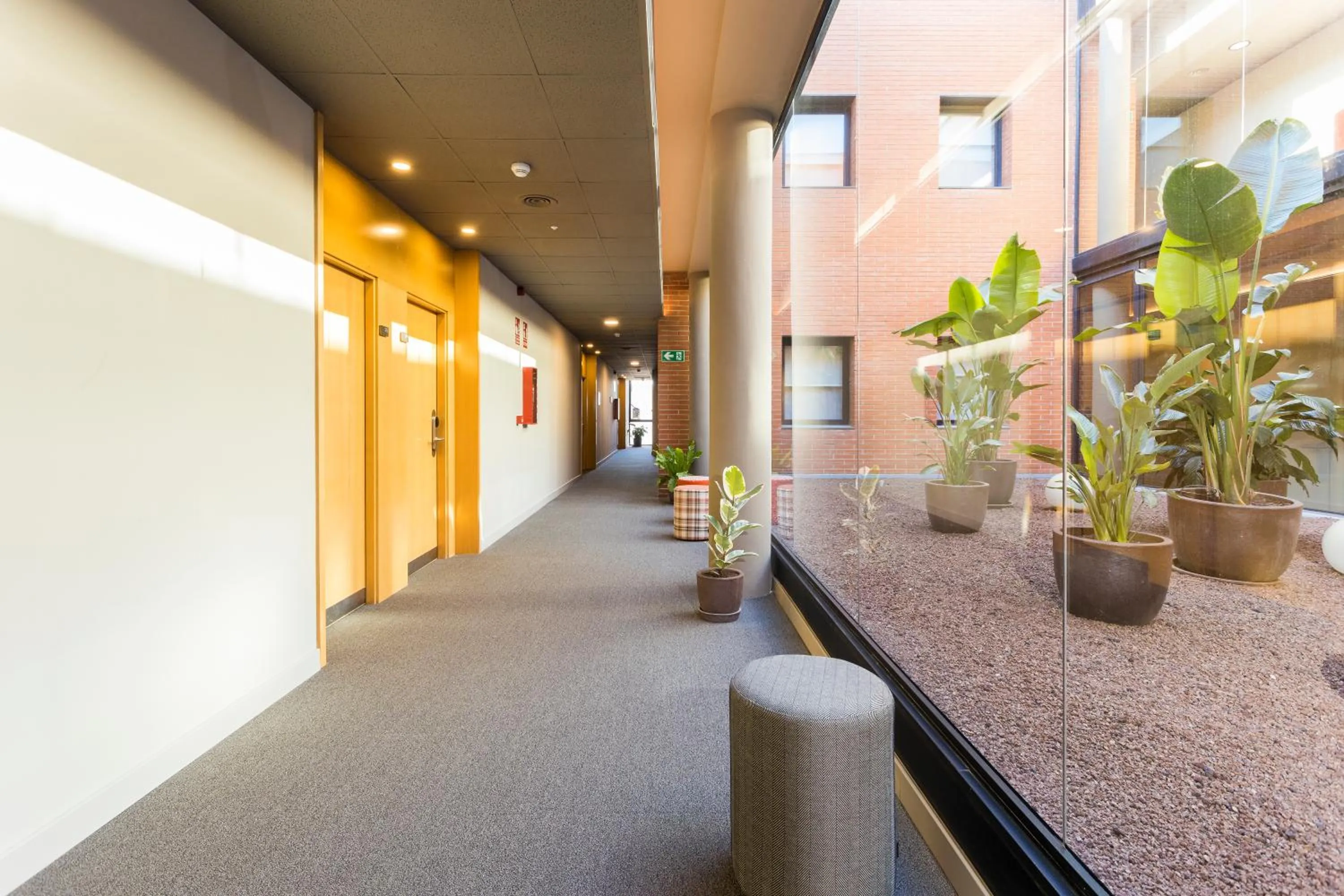 Area and facilities in Hotel Terrassa Confort