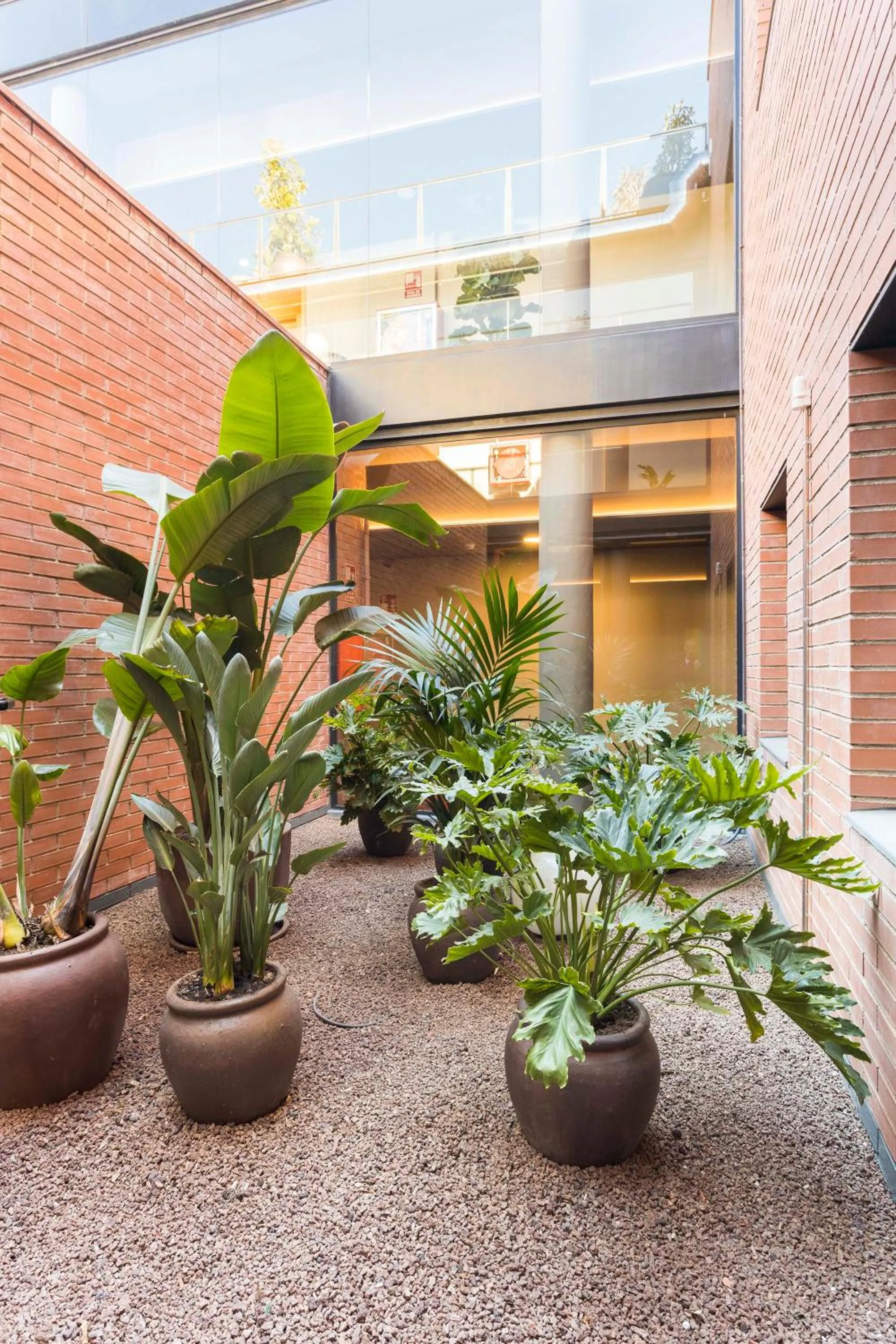 Garden in Hotel Terrassa Confort