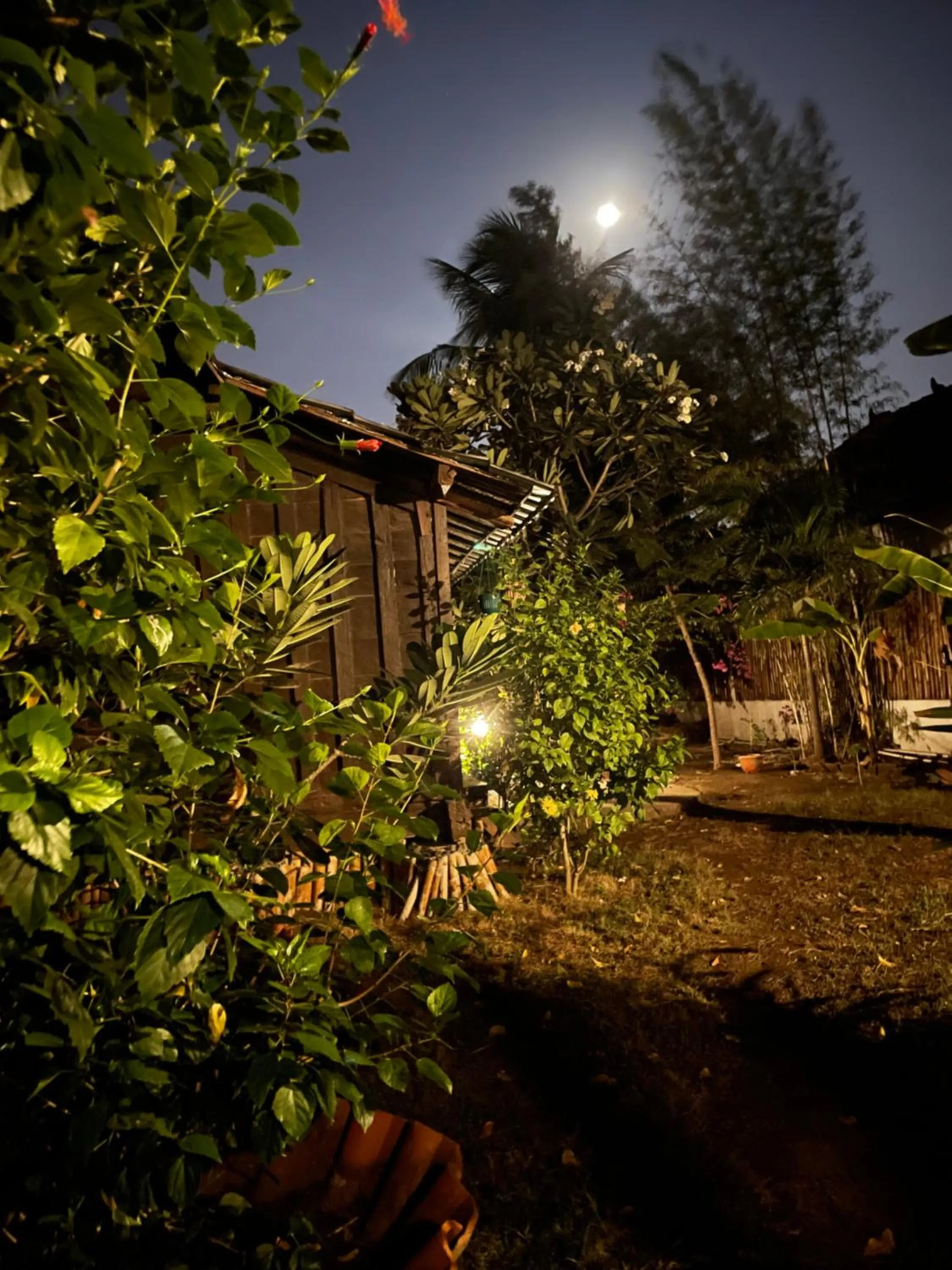 Night in Blu d'aMare