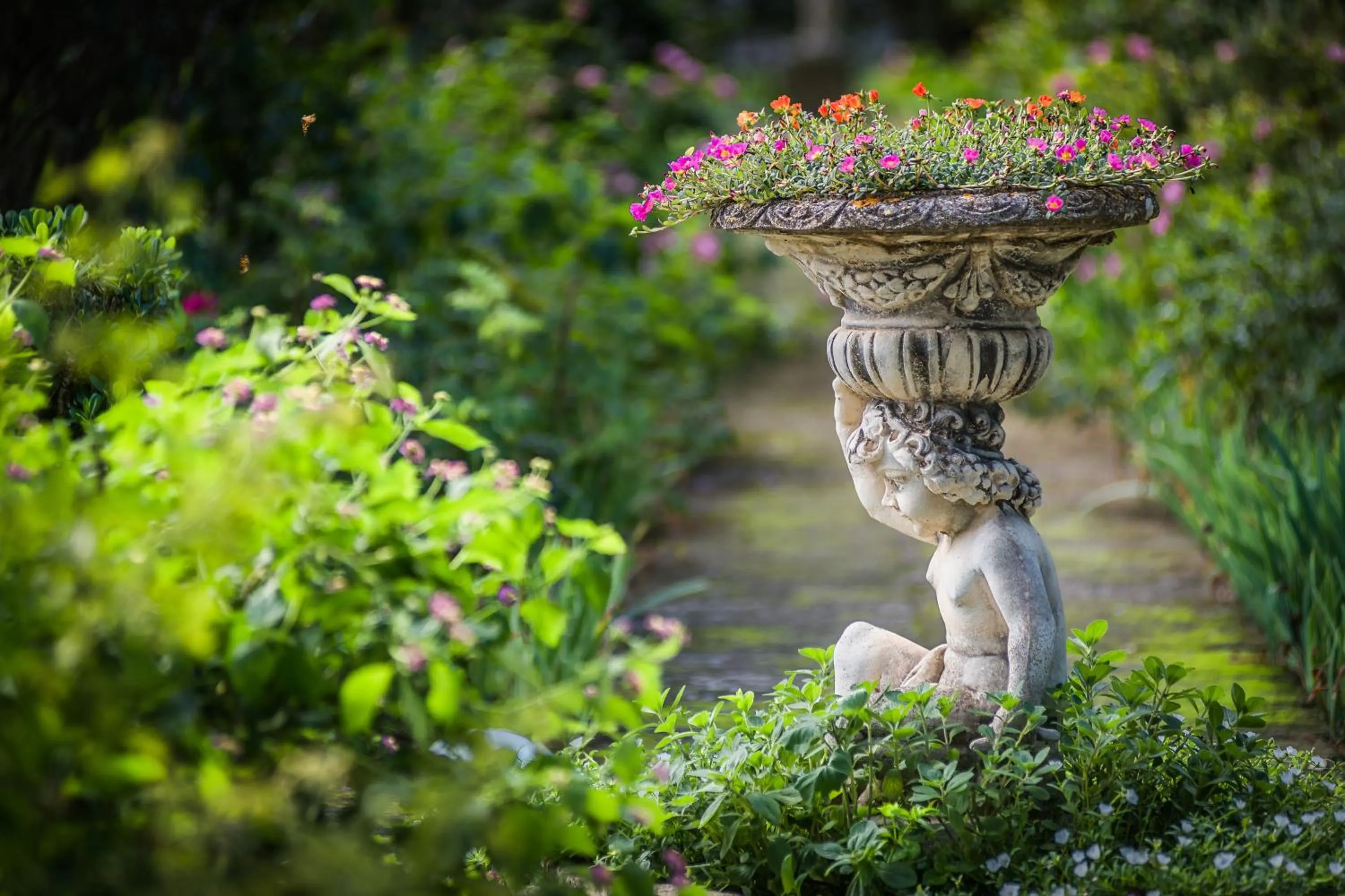 Garden in Hotel Rural Biniarroca - Adults Only