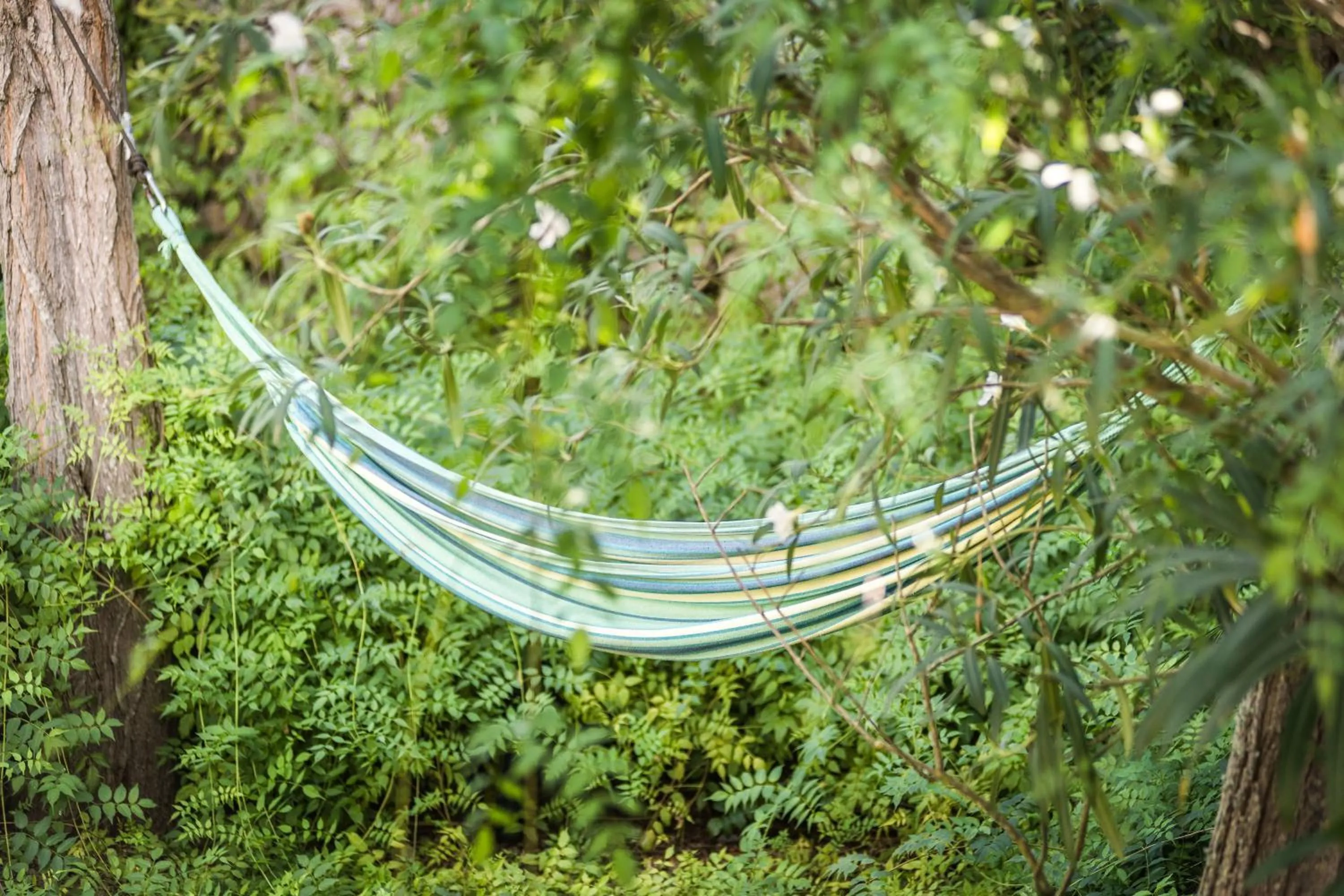 Garden in Hotel Rural Biniarroca - Adults Only