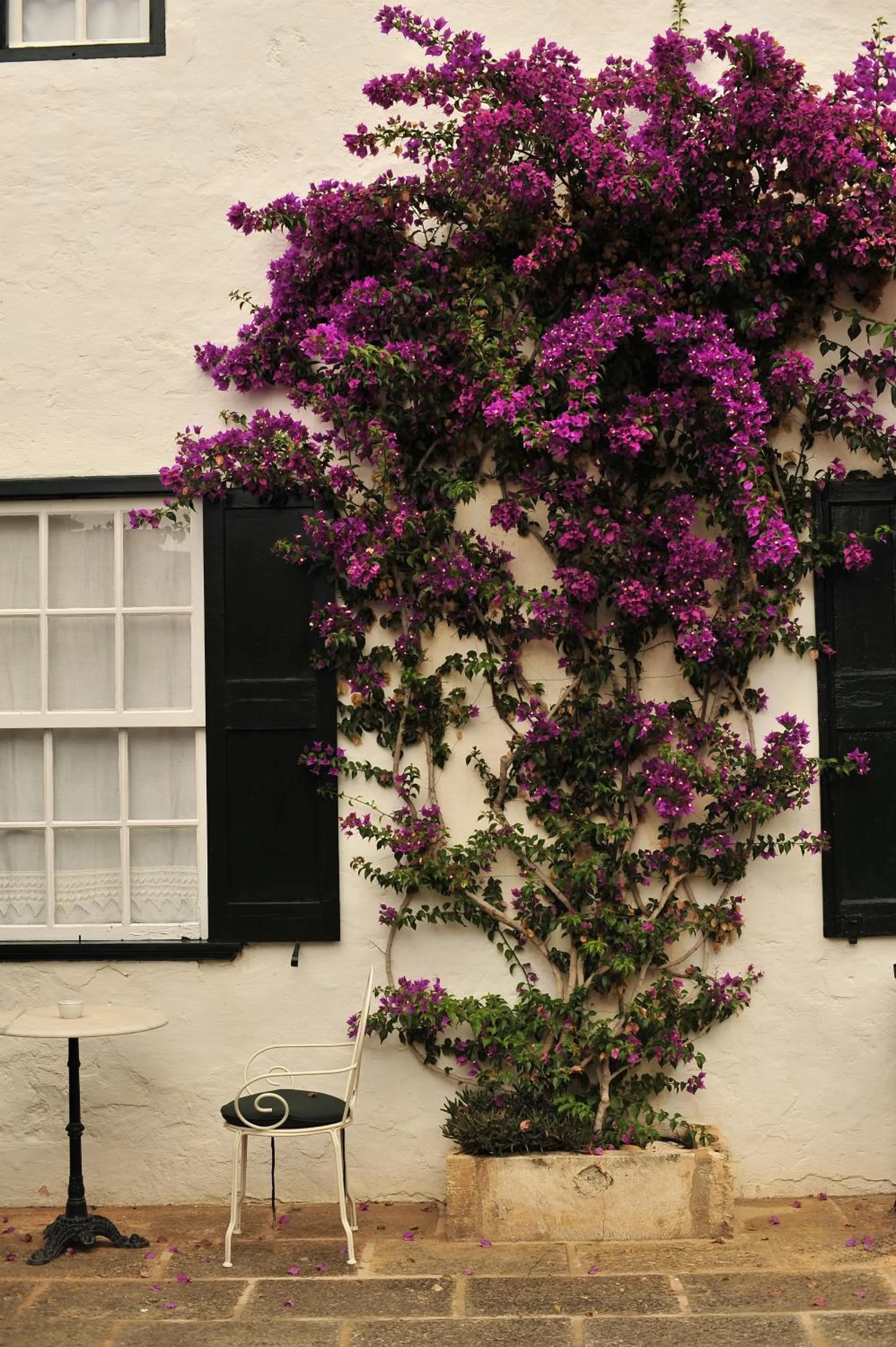 Facade/entrance in Hotel Rural Biniarroca - Adults Only