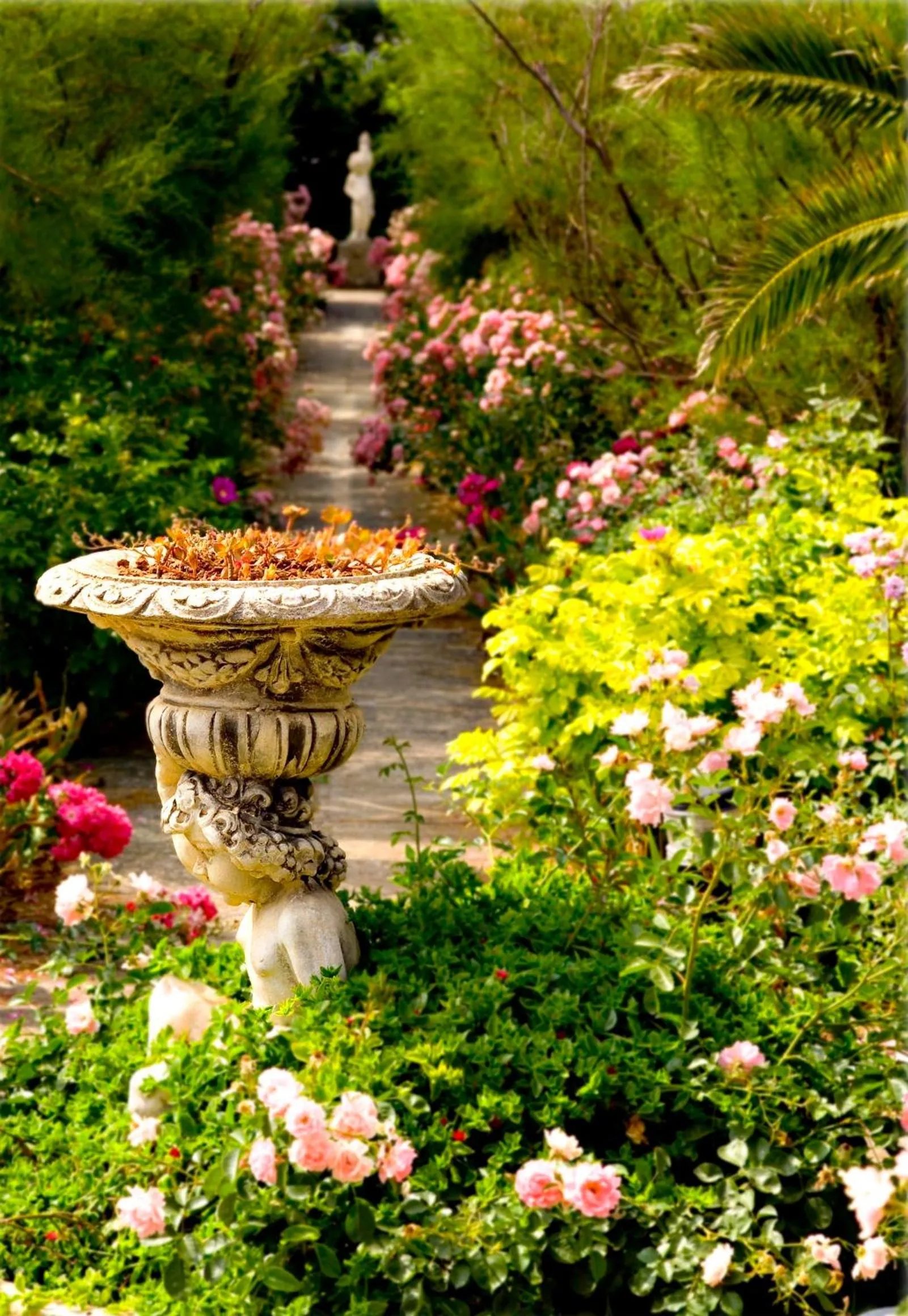 Garden in Hotel Rural Biniarroca - Adults Only