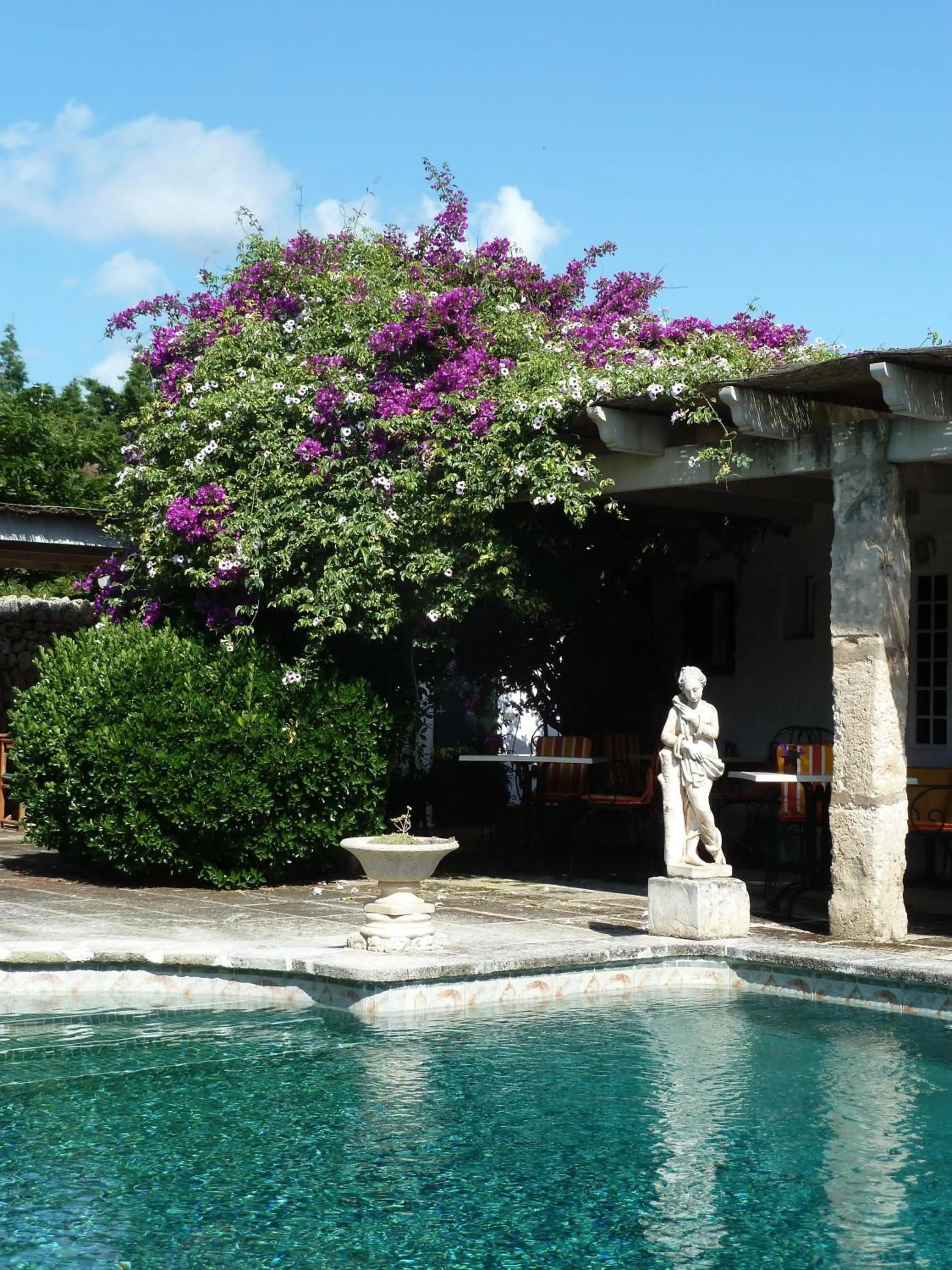 Swimming pool in Hotel Rural Biniarroca - Adults Only