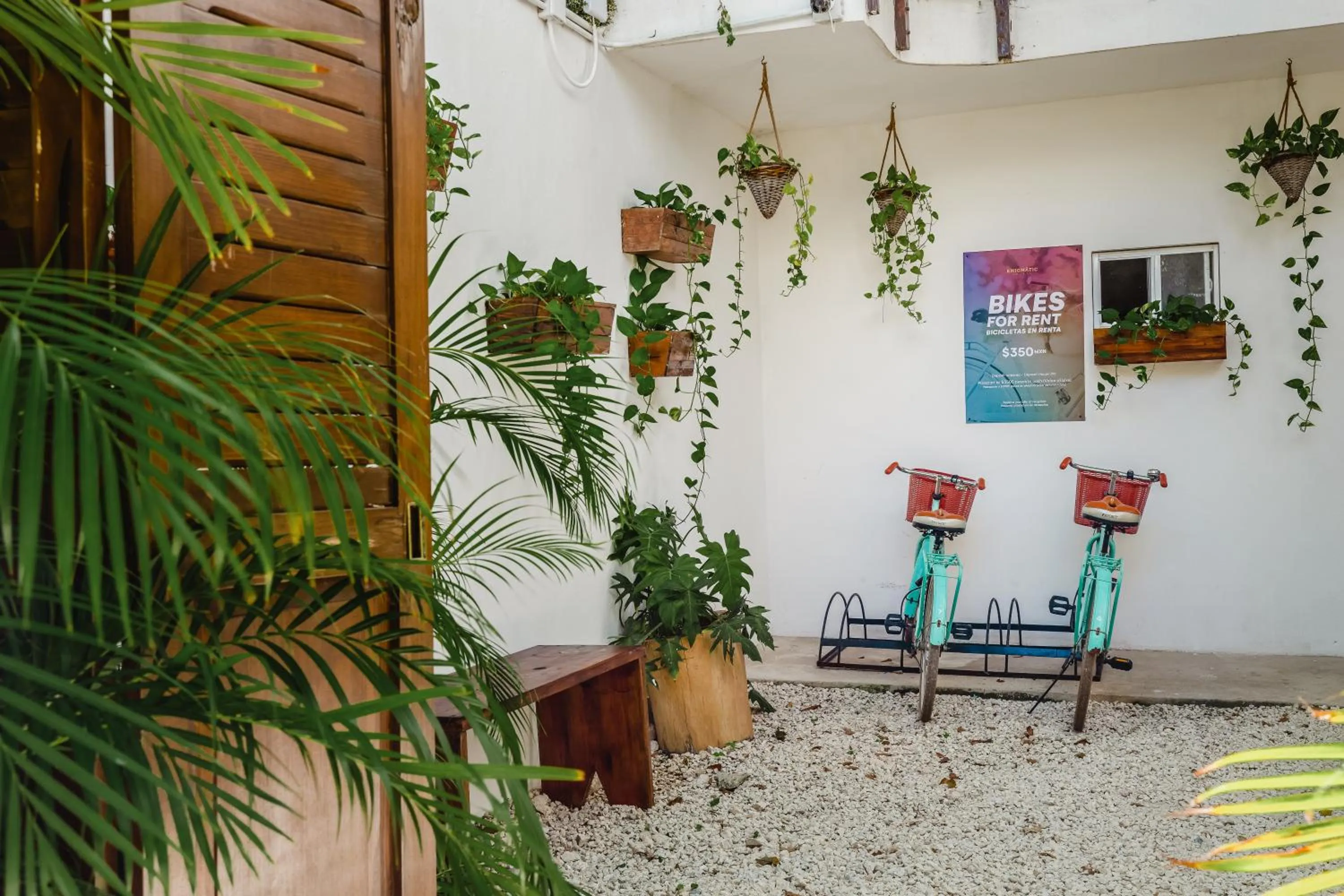 Day in Enigmatic Hotel Experience