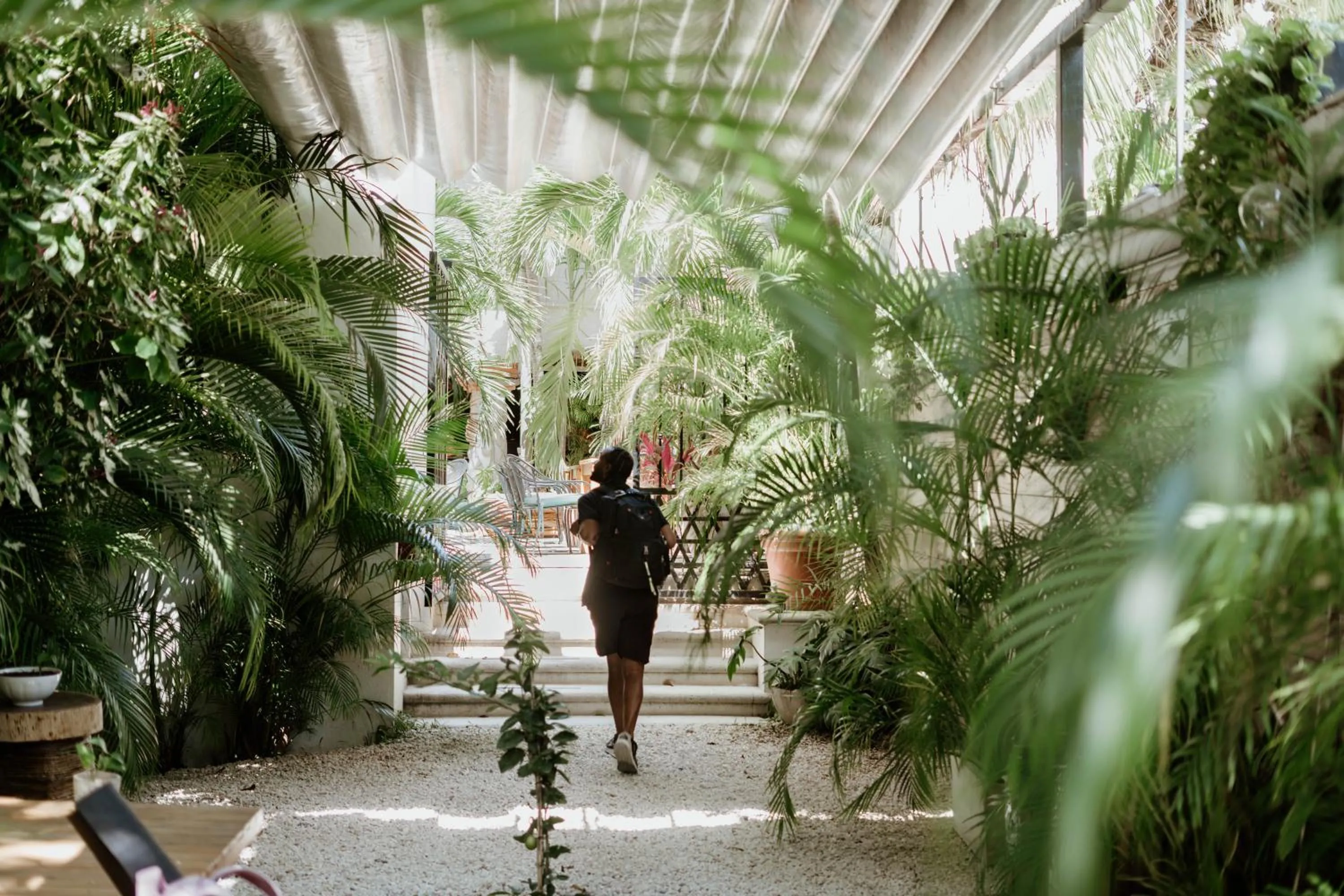 Garden in Enigmatic Hotel Experience