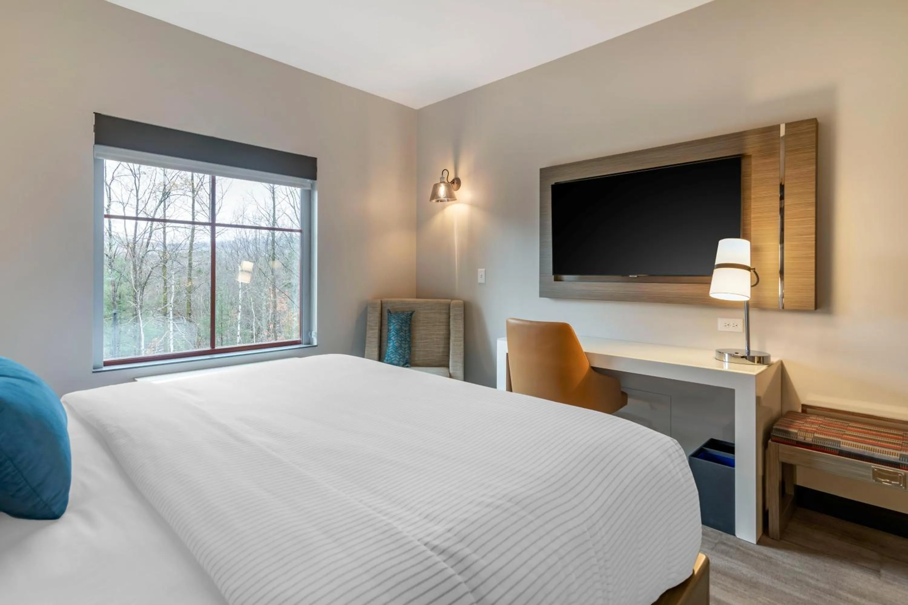 TV and multimedia, Bed in Cambria Hotel Lake Placid - Lakeside Resort