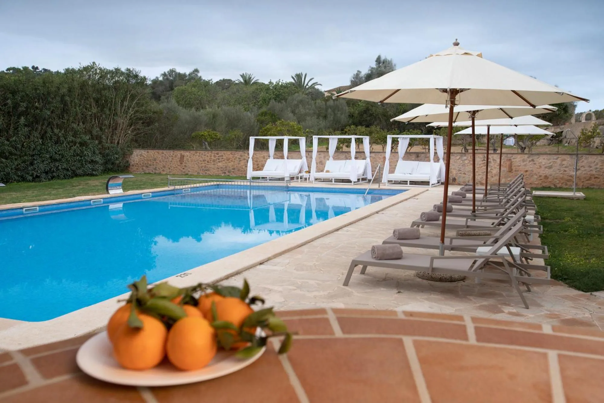 Principal Son Amoixa