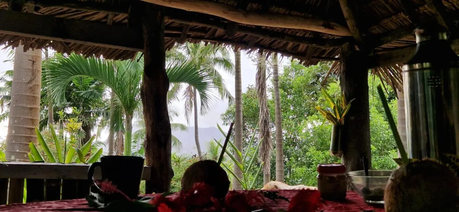 Tanna Lava View Bungalows