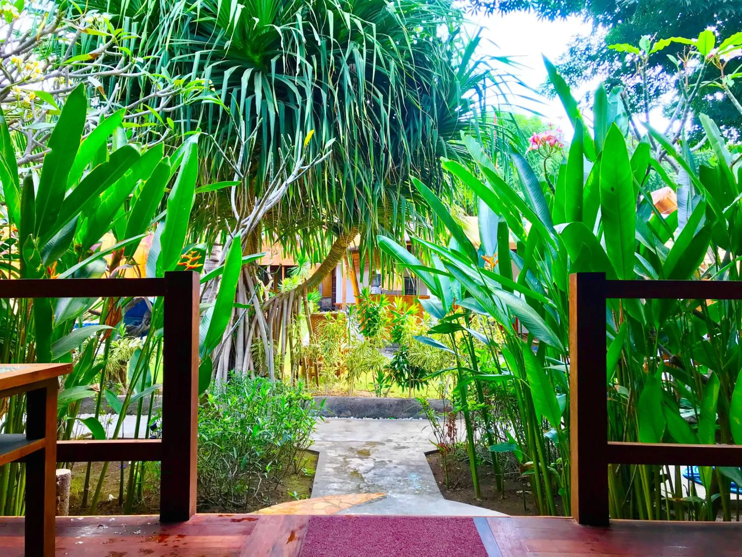 Cotton Tree Cottages