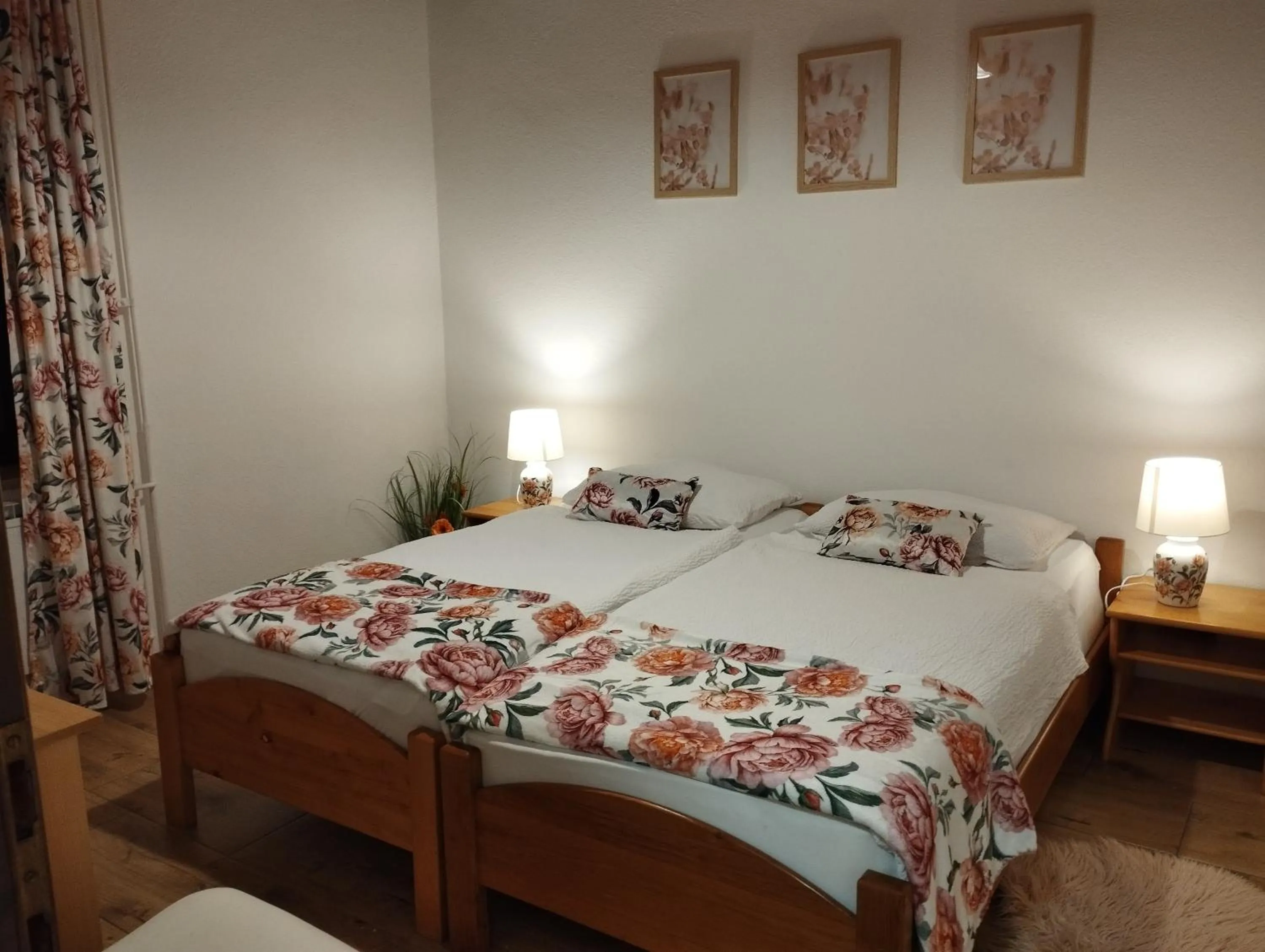 Budget Double or Twin Room - single occupancy in Guest House Kmečki Hram FORTUNA
