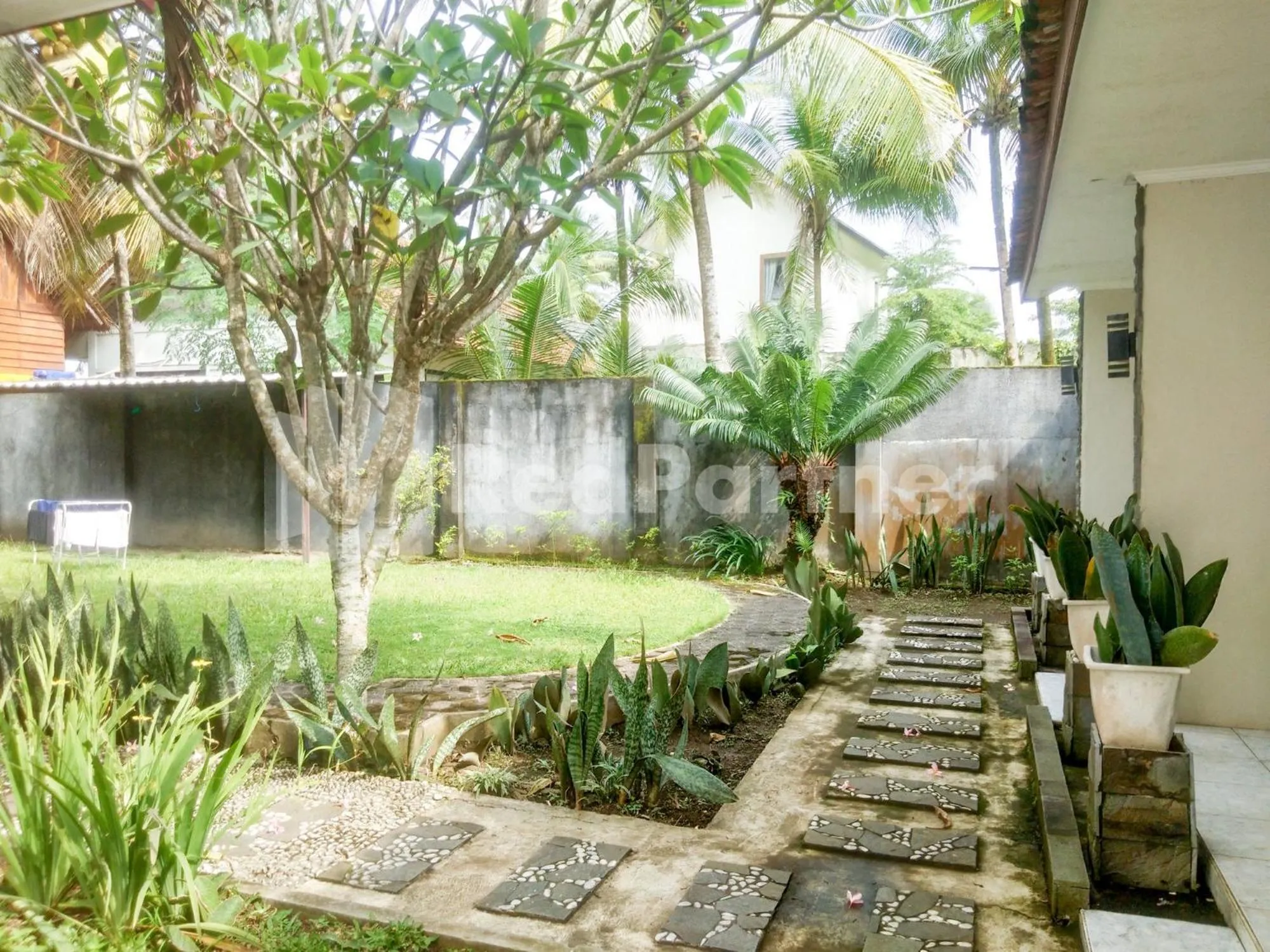 Garden view in The SO Hotel Mitra RedDoorz