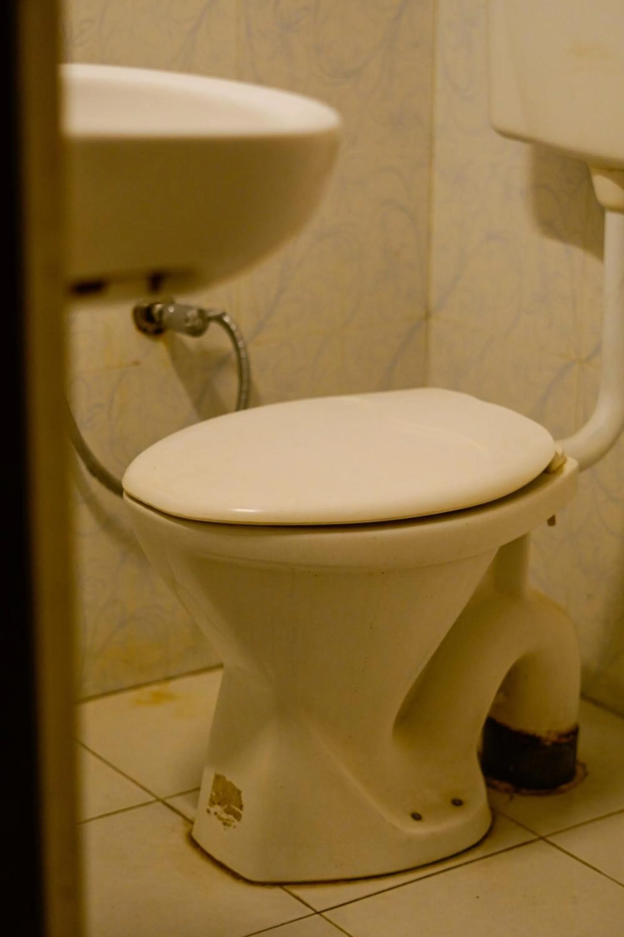 Toilet in Hotstel Udaipur