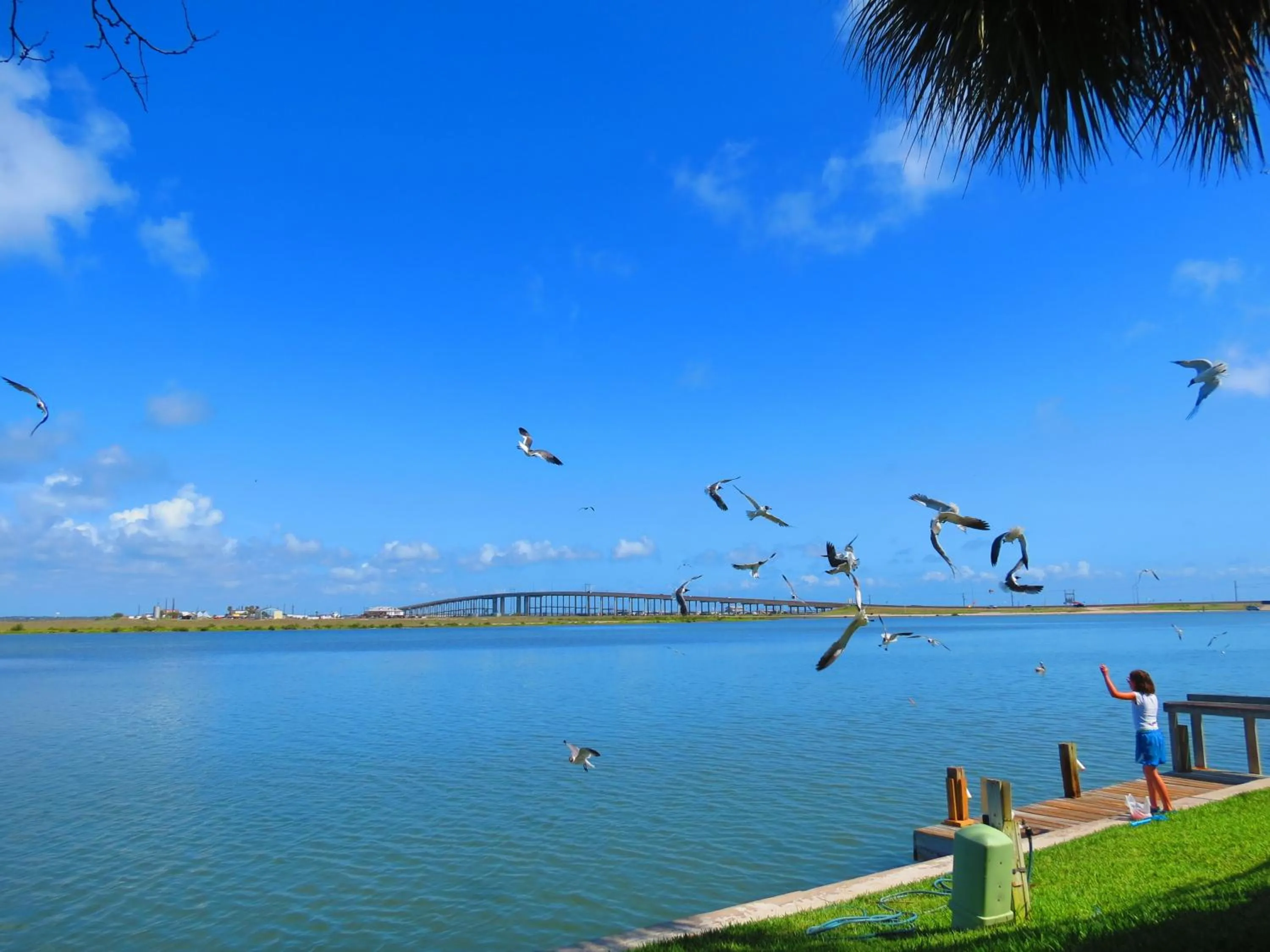 Facade/entrance in Multi Resorts at Puente Vista