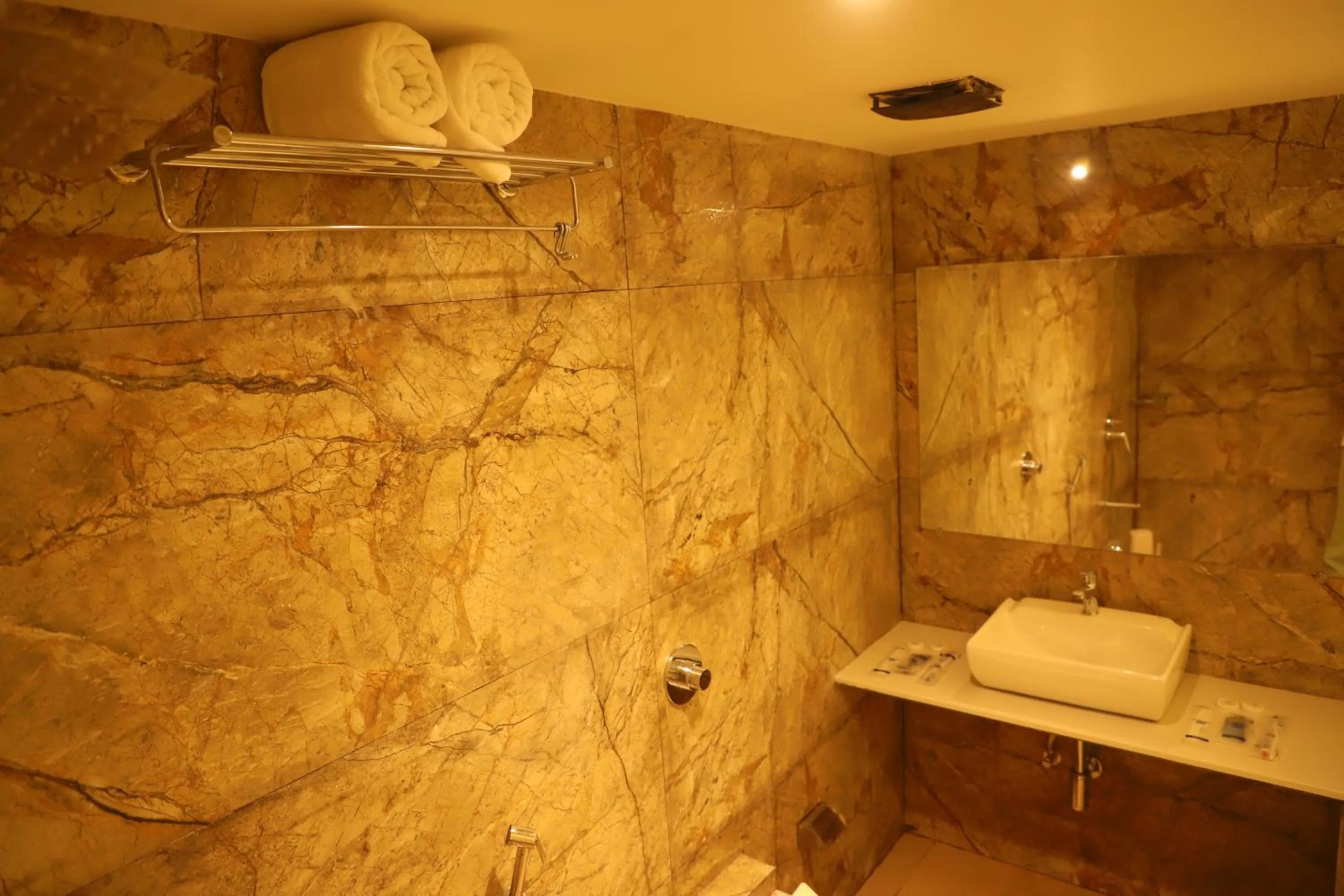 Shower in Hotel Sai Pritam