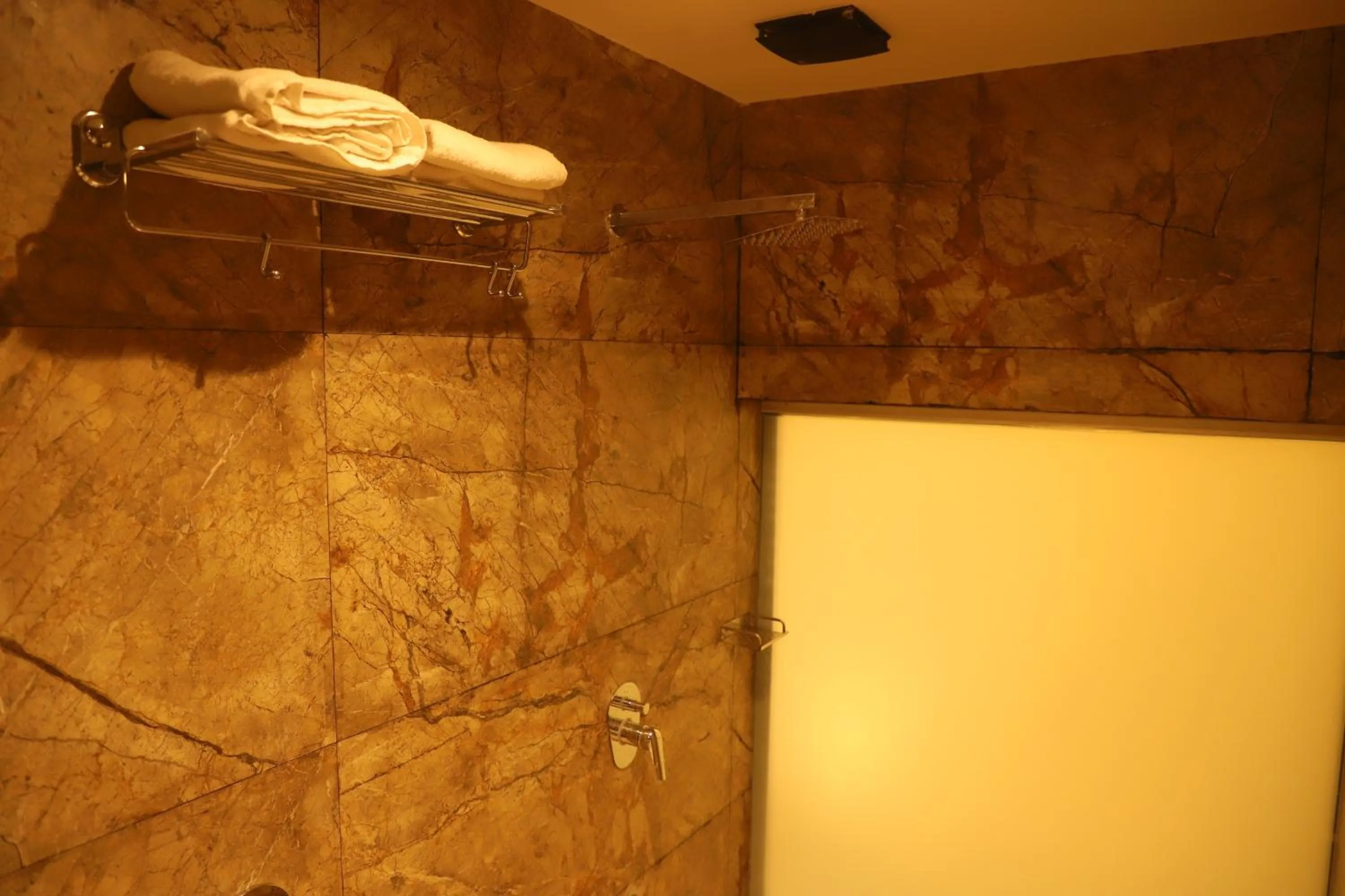 Shower in Hotel Sai Pritam