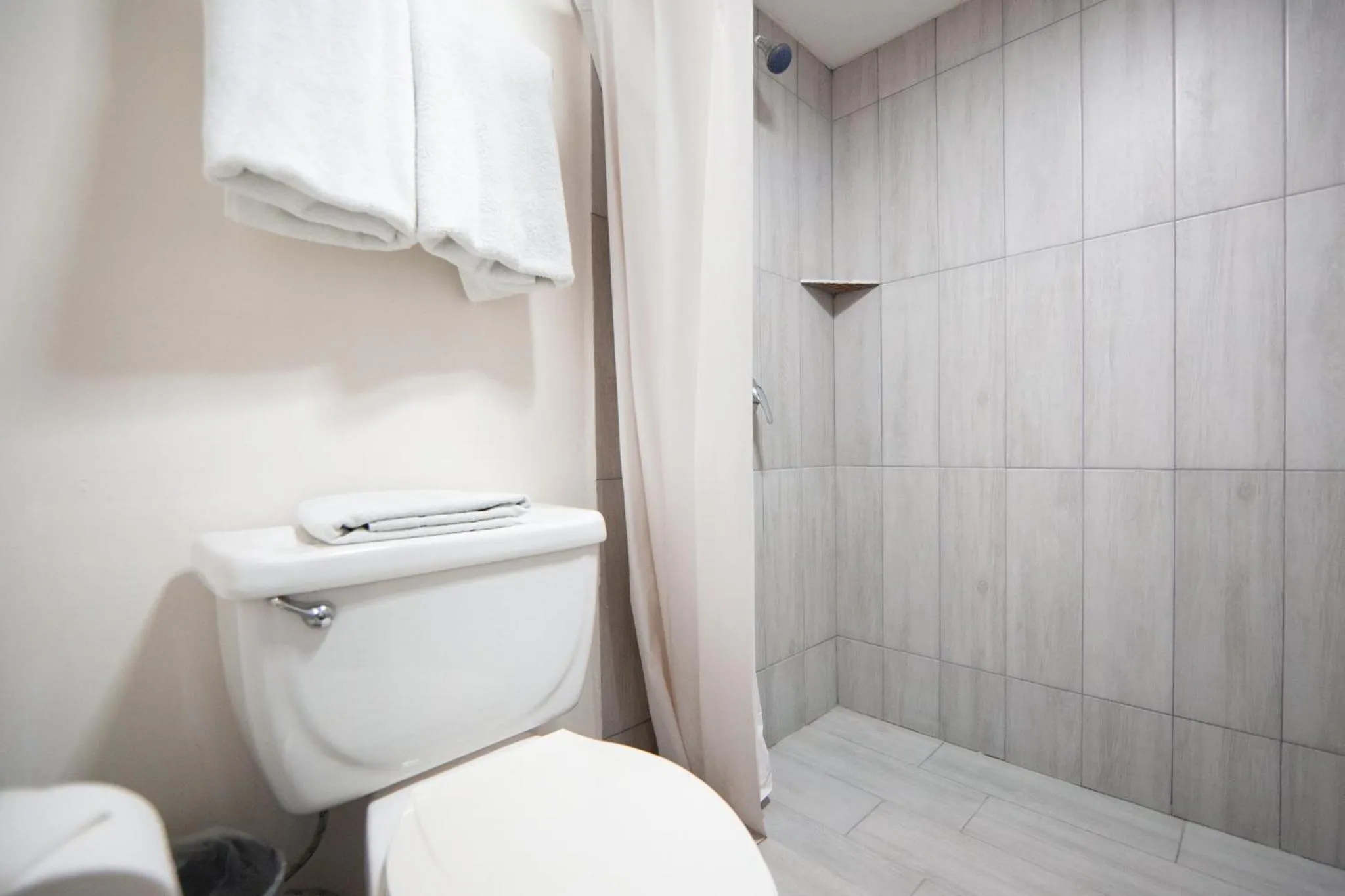 Toilet in InHouse Hotel Obregón