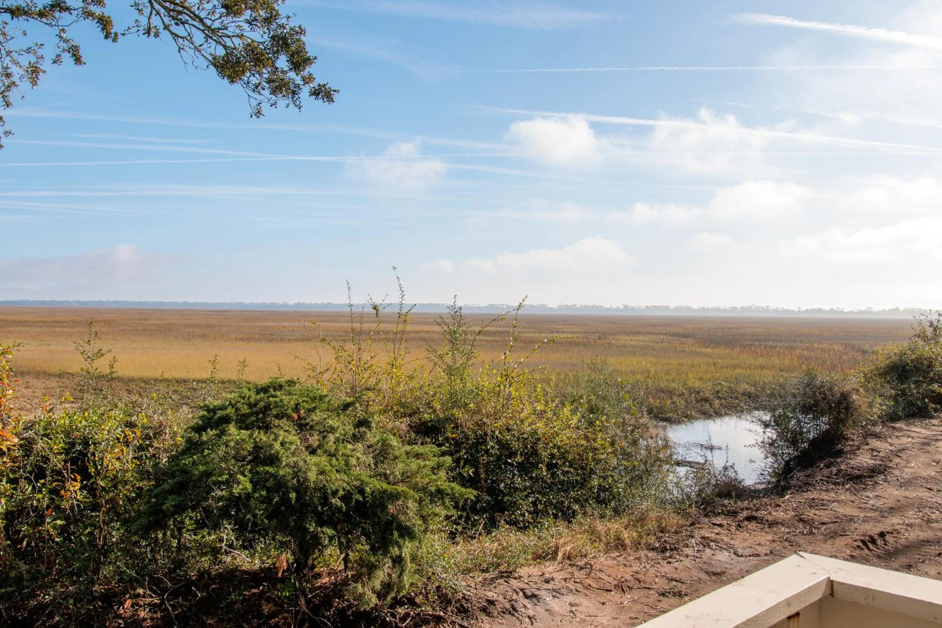 Natural landscape in Sea Palms Resort