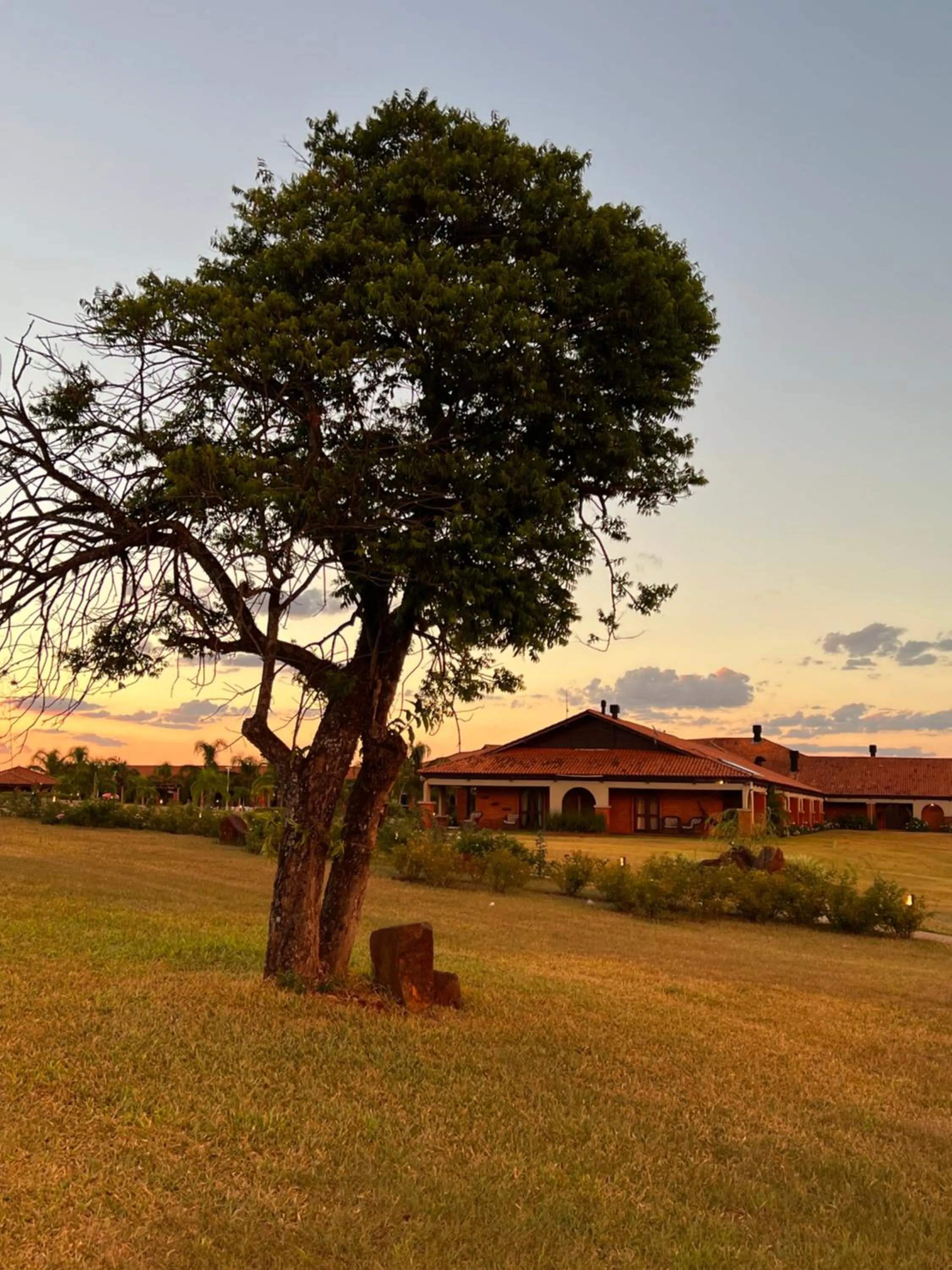 Day in Tenondé Park Hotel