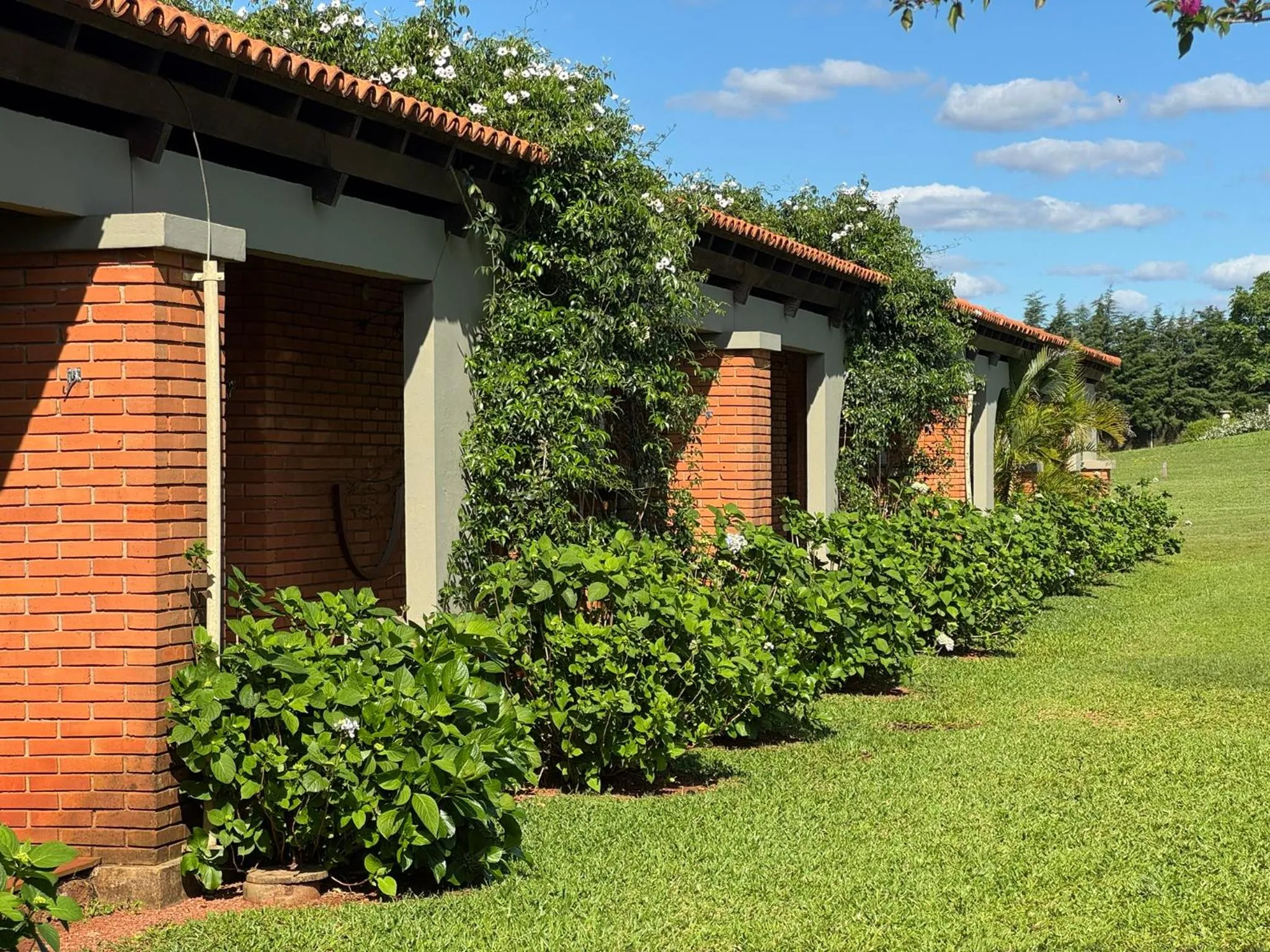 Property building in Tenondé Park Hotel