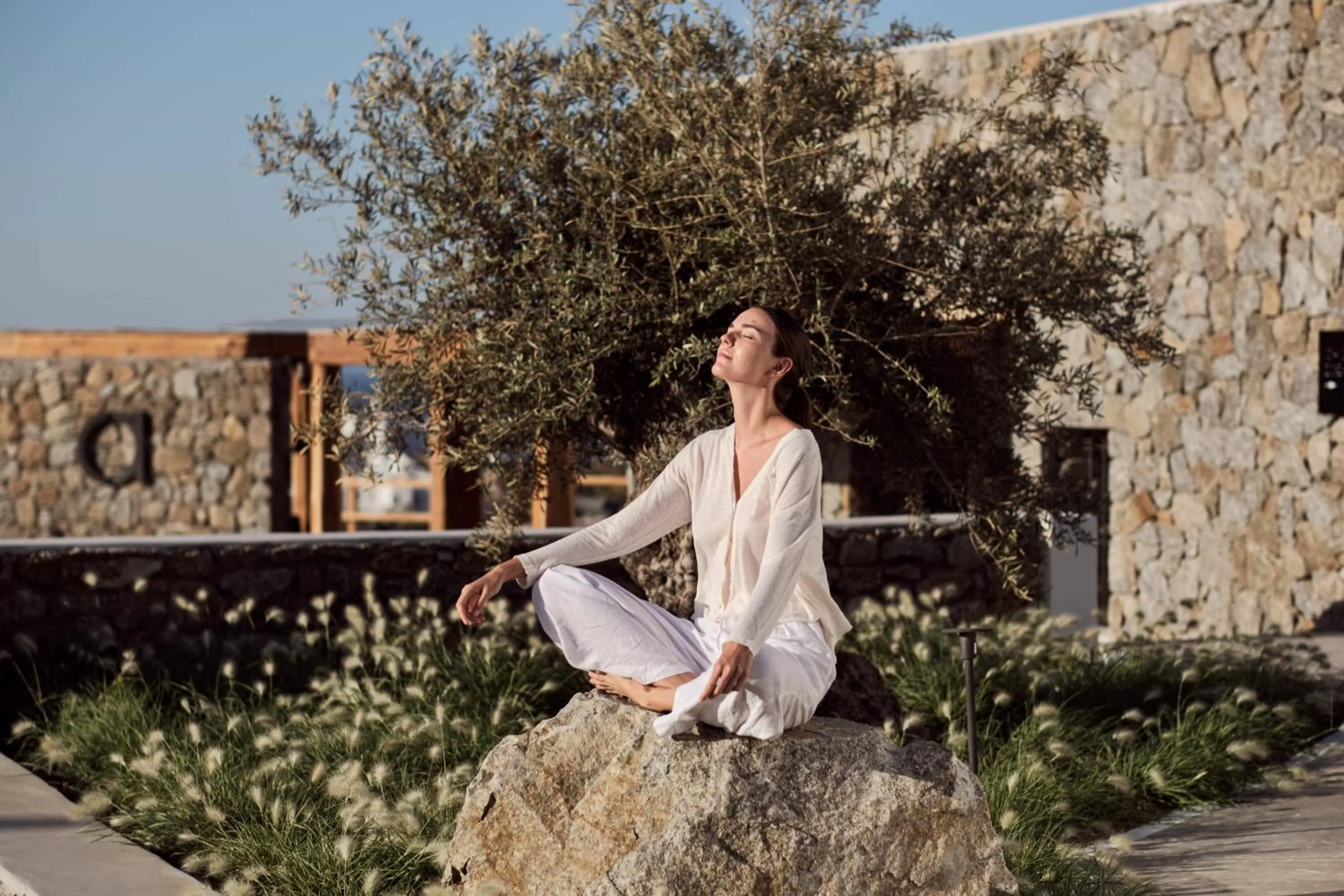 Natural landscape in Anemelia Hotel Mykonos