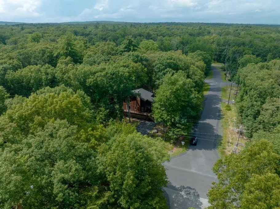 Bird's eye view in Cozy Chalet Game Rm and Fireplace