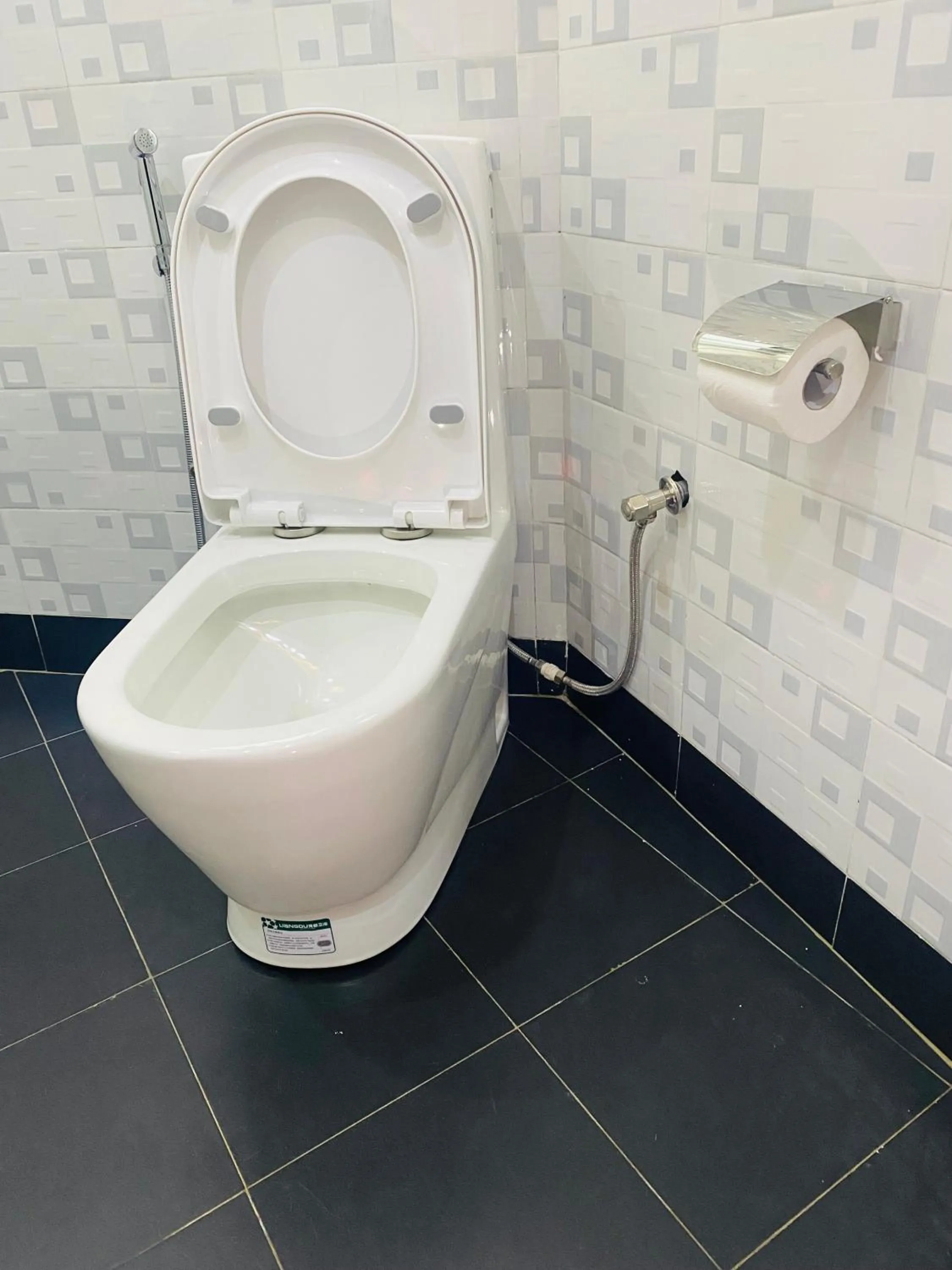Toilet in Dyvan Lounge & Cottages