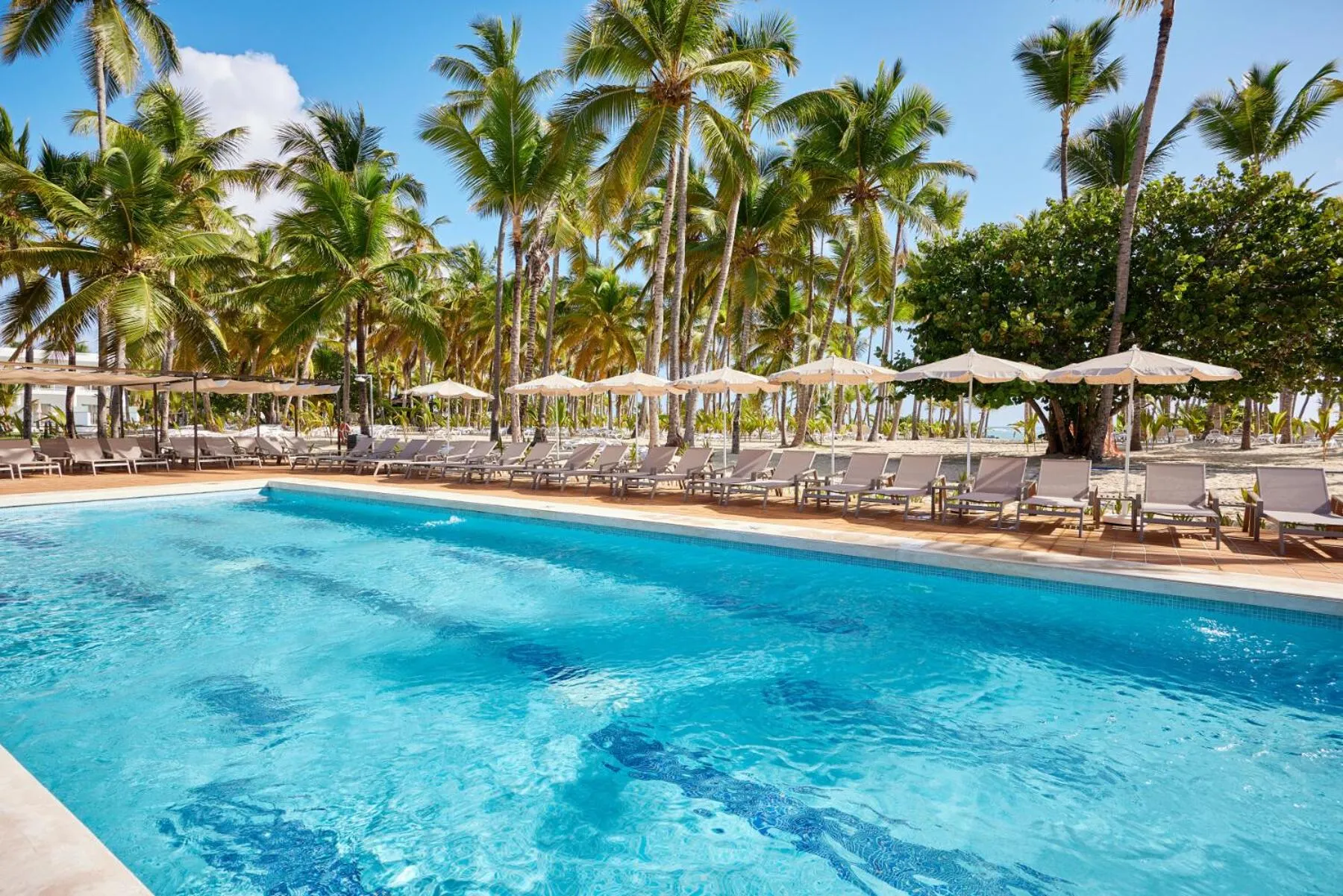 Swimming pool in Riu Palace Macao - Adults Only - All Inclusive