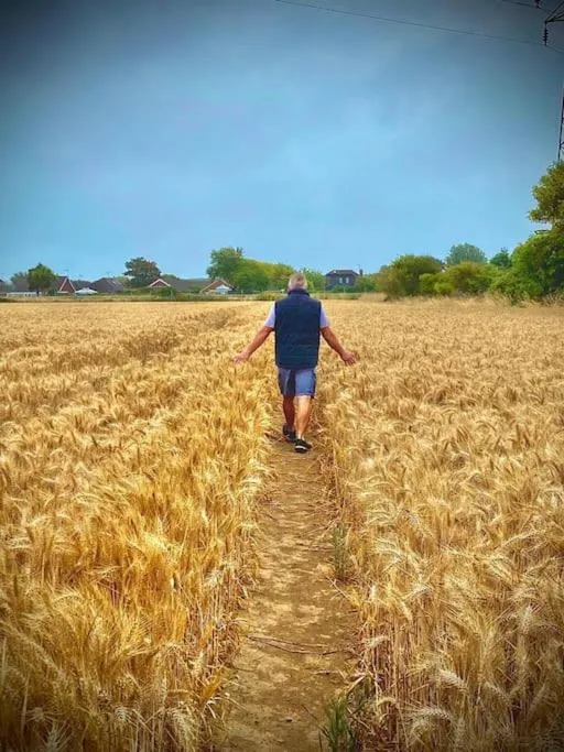 Natural landscape in Cute Studio with kitchen, patio and free parking