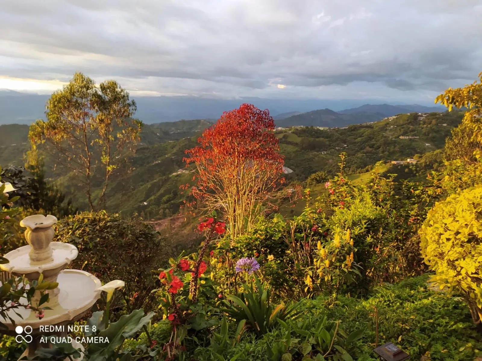 Mirador Finca Morrogacho