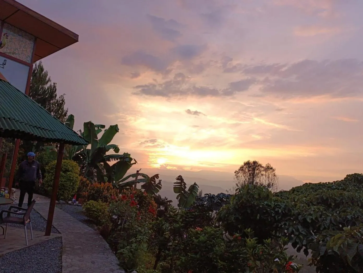 Mirador Finca Morrogacho