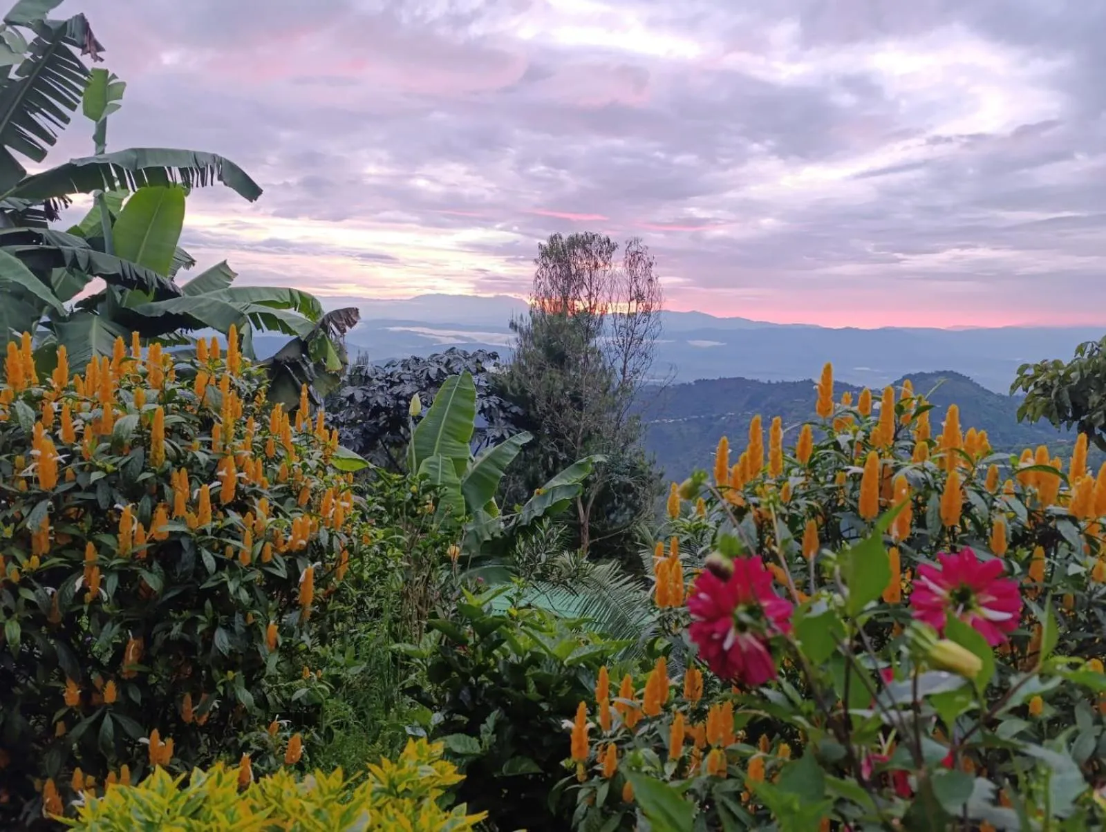 Mirador Finca Morrogacho