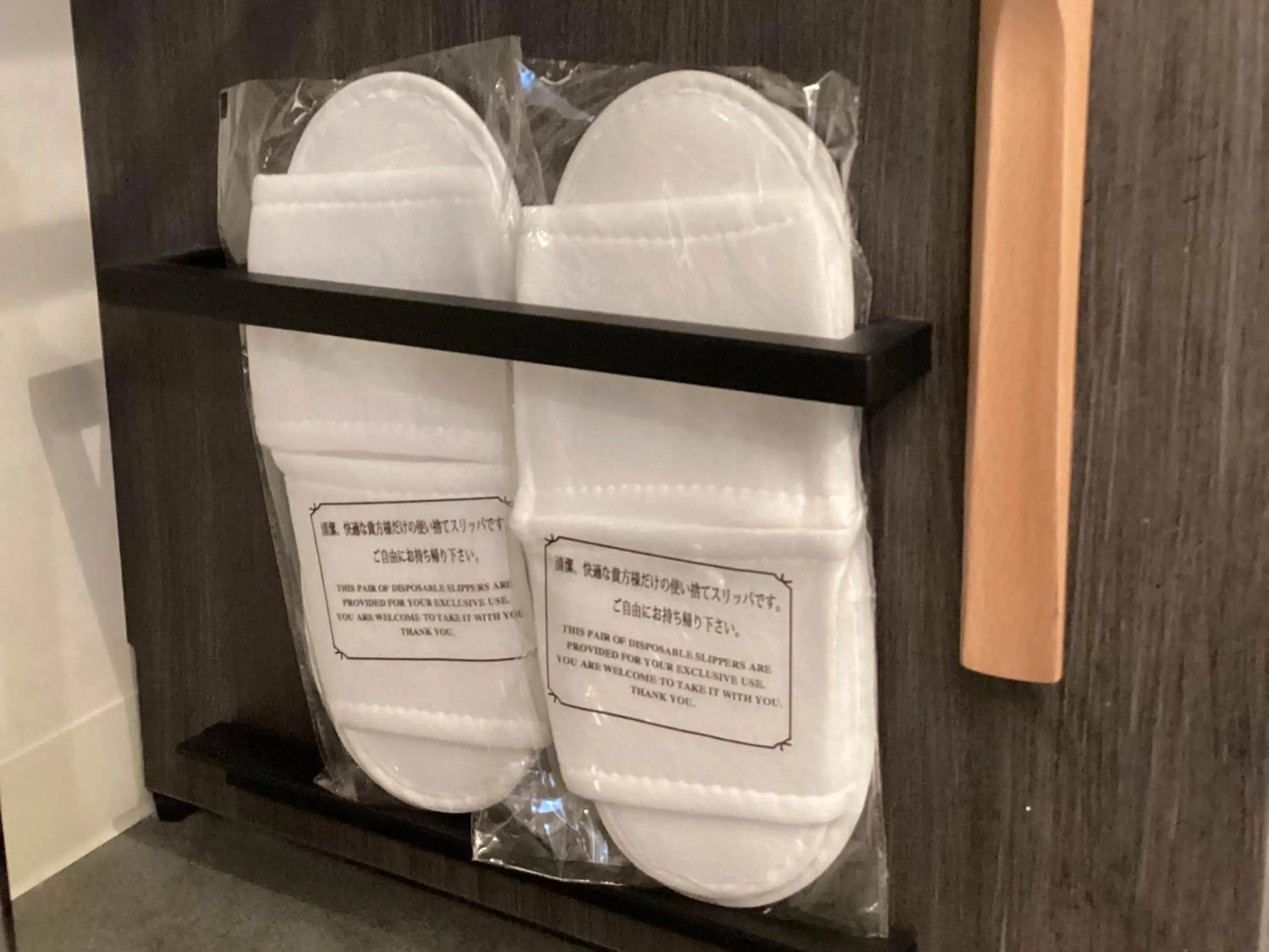 Other in Prince Smart Inn Miyazaki